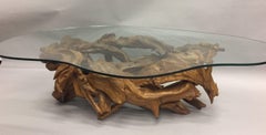 Organic Modern Amoeba Shaped Root Wood and Glass Coffee Table