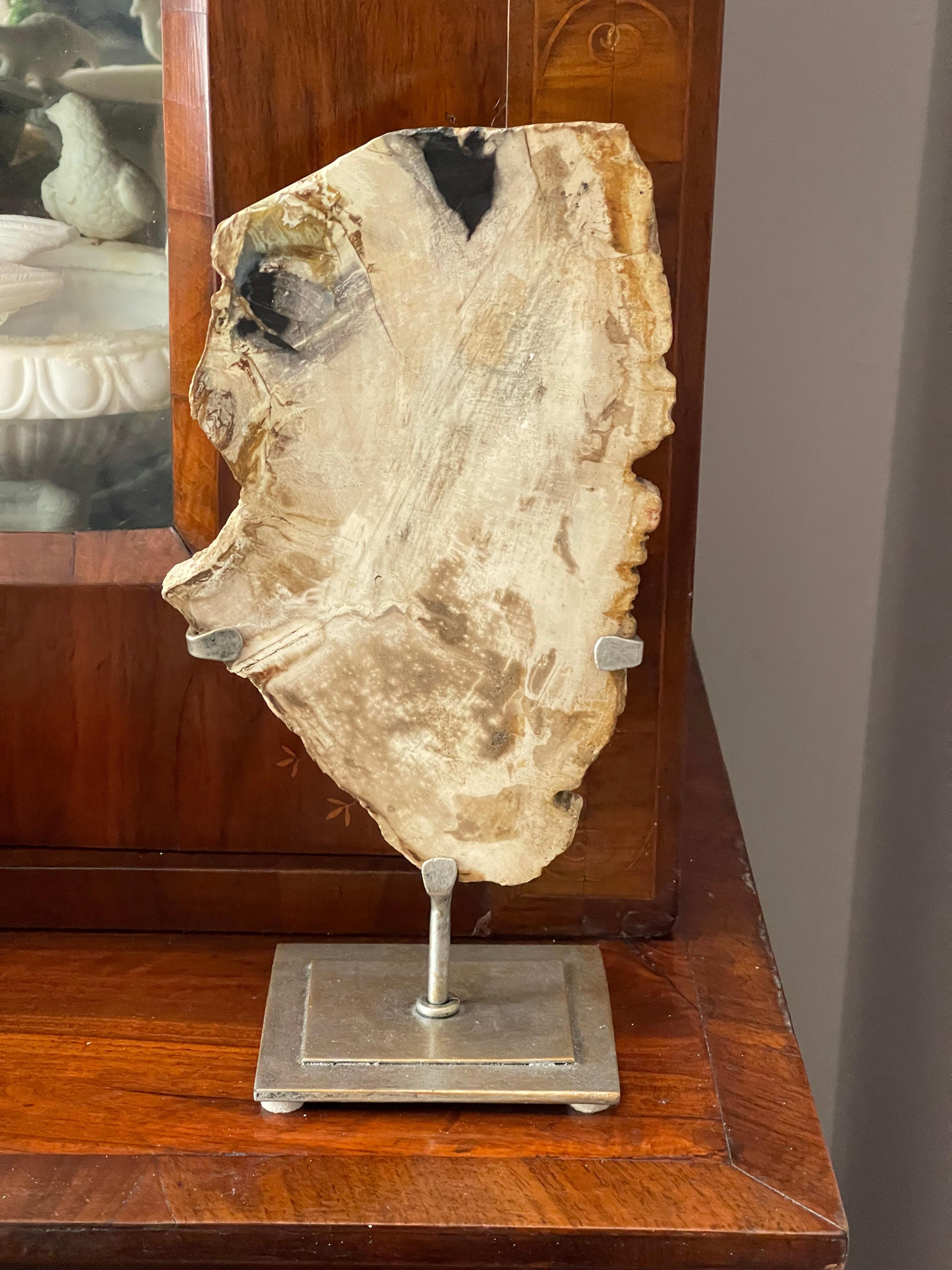 Ancient organic modern fragment of petrified wood on stand. Great decorative piece of natural history specimen.