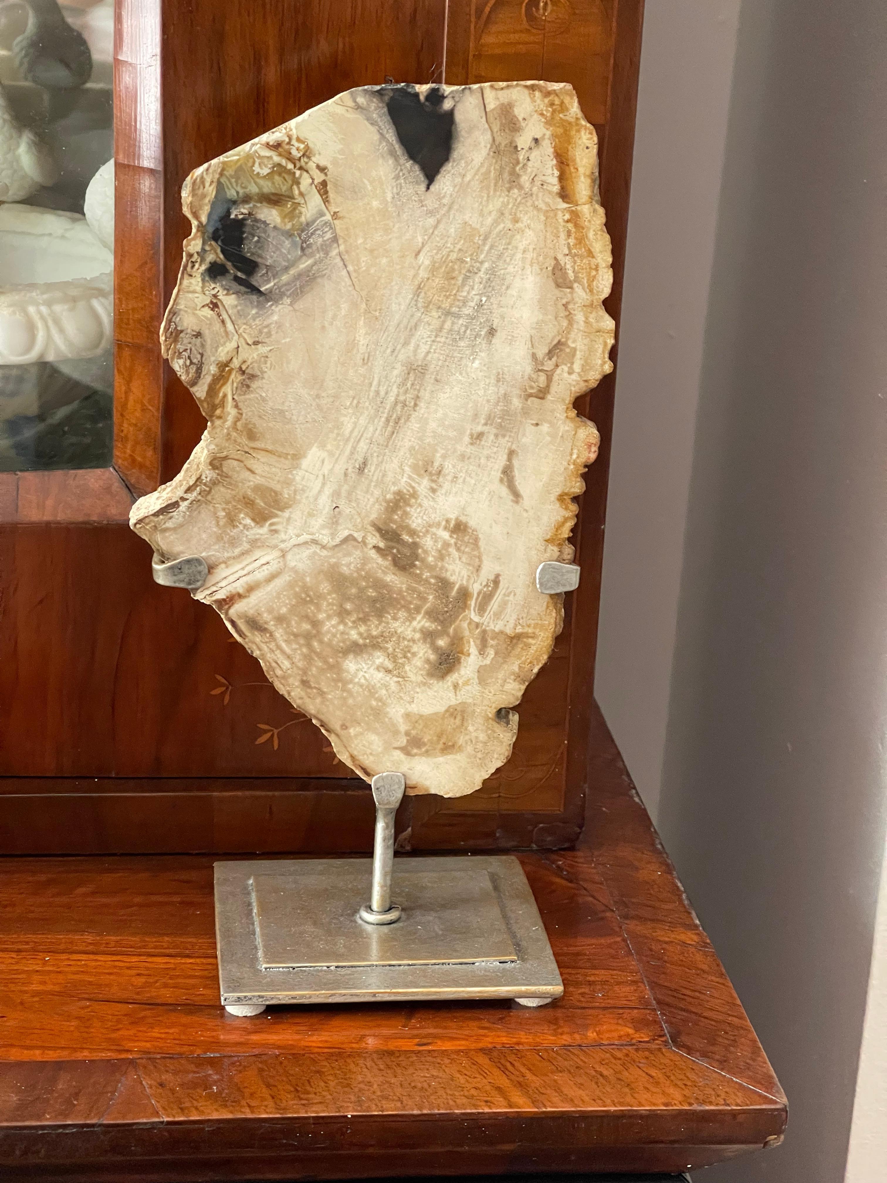 Organic Modern Natures Beauty  Ancient Petrified Wood Fragment on Stand For Sale