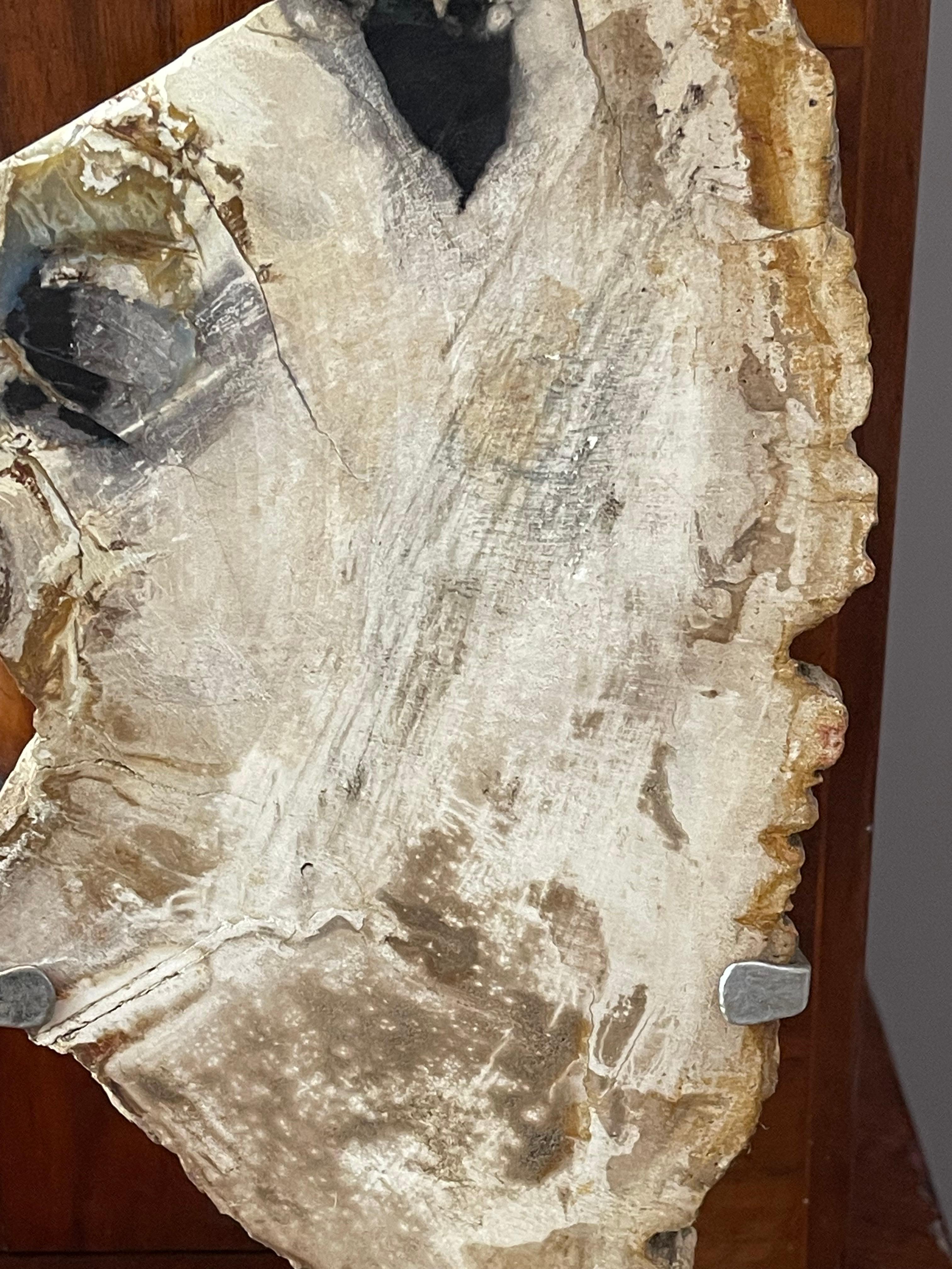 American Natures Beauty  Ancient Petrified Wood Fragment on Stand For Sale