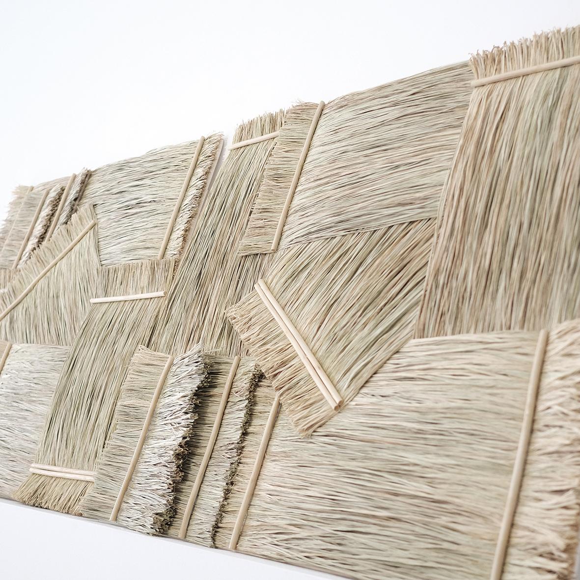 Organique Cadre en fibres à ressort éternelles - Sculpture murale décorative naturelle en vente