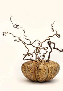 Organic Modern Ash Glazed & Wood Fired Vase by Imes Gallery