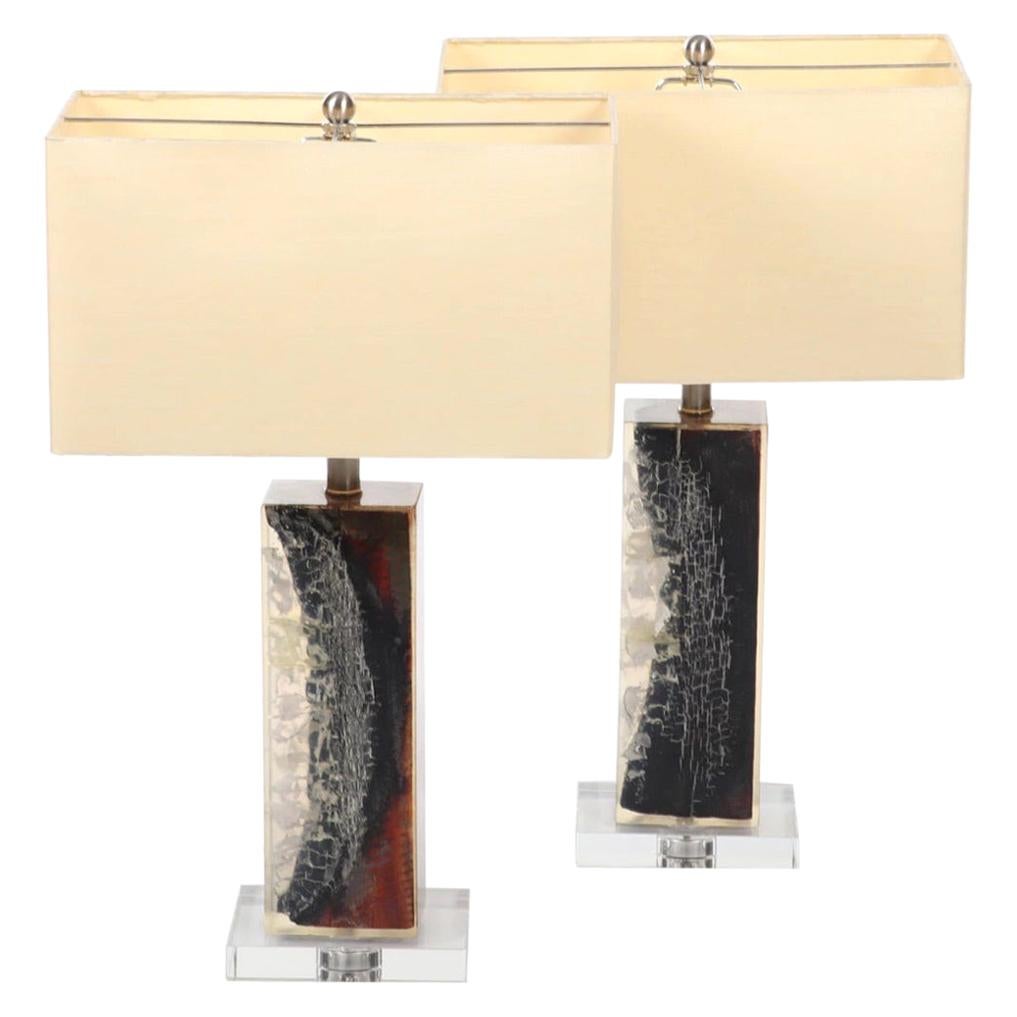 Organic Modern Authentic Pair of Petrified Wood Lucite Lamps-Stunning For Sale