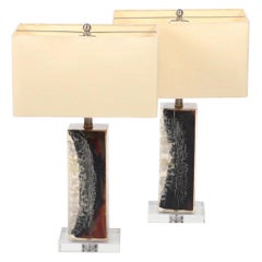Vintage Organic Modern Authentic Pair of Petrified Wood Lucite Lamps-Stunning