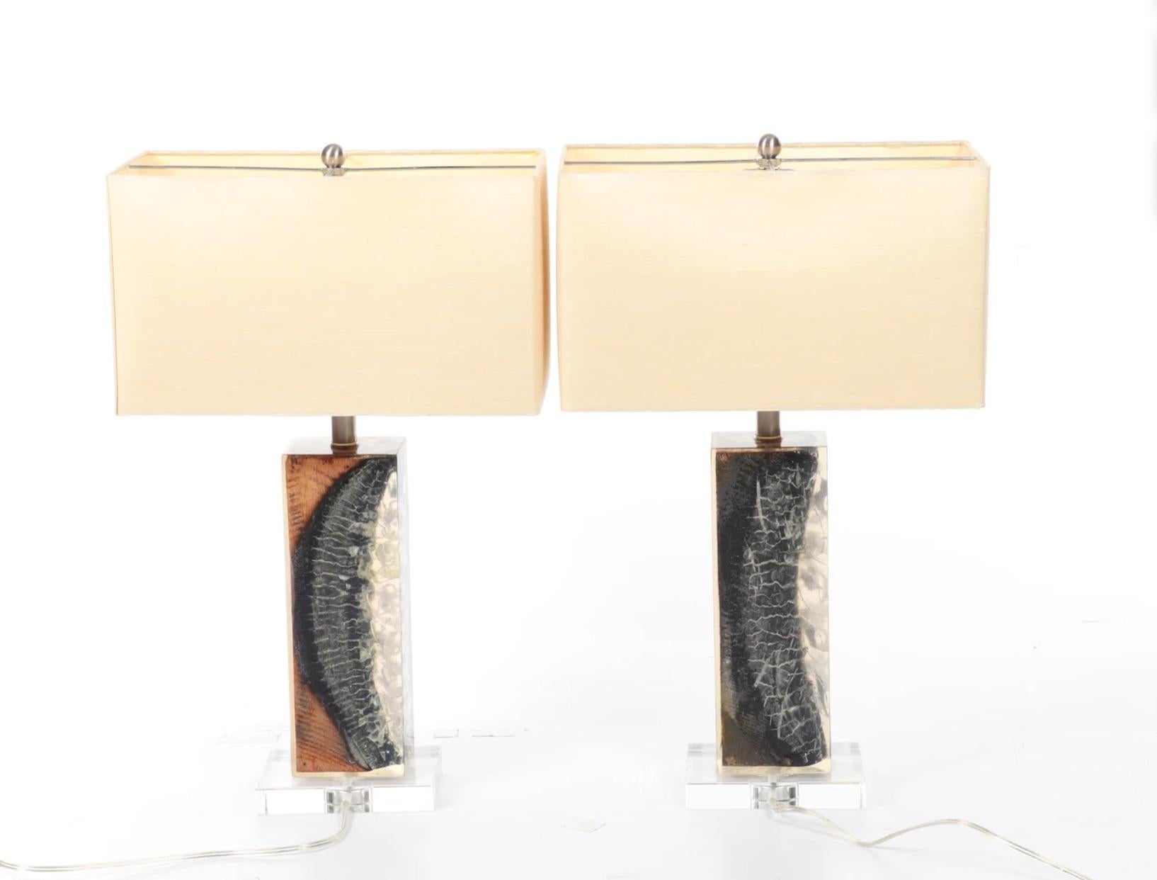 Incredible modern organic superb pair of authentic petrified wood encased in Lucite mounted on a Lucite base, chrome hardware with clear wire and plug.
The petrified wood piece in each lamp has formed naturally in a unique pattern stunning to view,