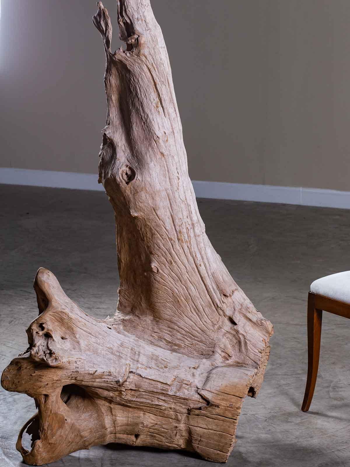 Contemporary Organic Modern Beach Driftwood Floor Lamp Custom Shade For Sale