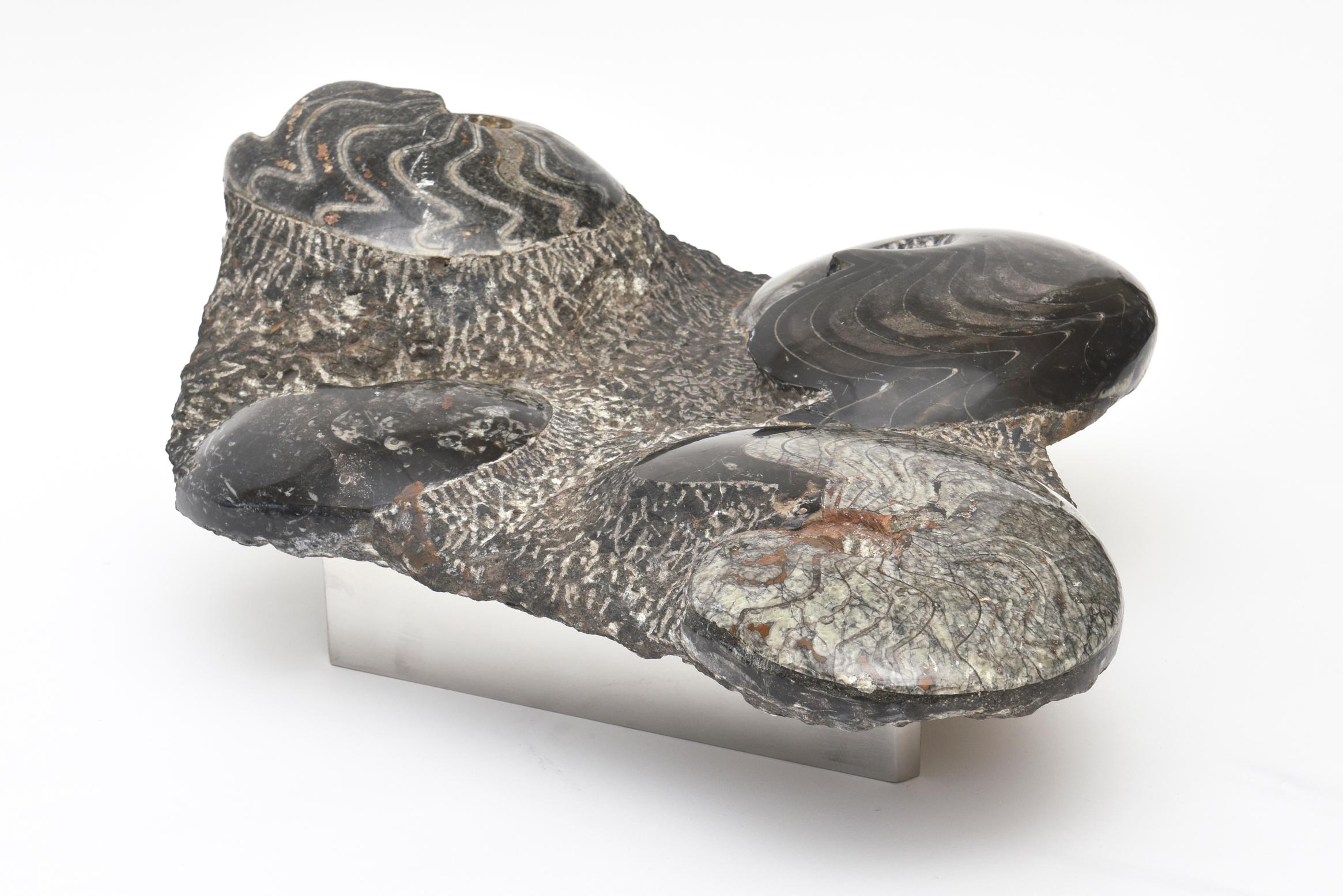 Questa fantastica e splendida pietra levigata dalla forma biomorfa è una scultura moderna e organica. È diverso da tutte le angolazioni e poggia su un supporto in acciaio inox personalizzato a forma di triangolo. Tuttavia non sta in piedi. La pietra