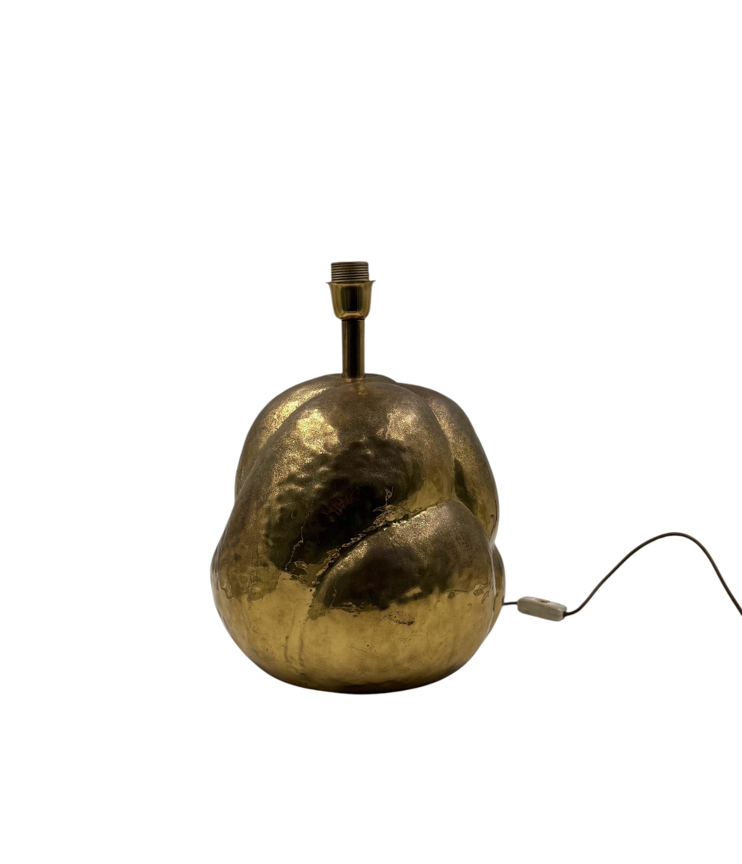 Italian Organic modern brass table Lamp, Tommaso Barbi Italy 1970 in vendita