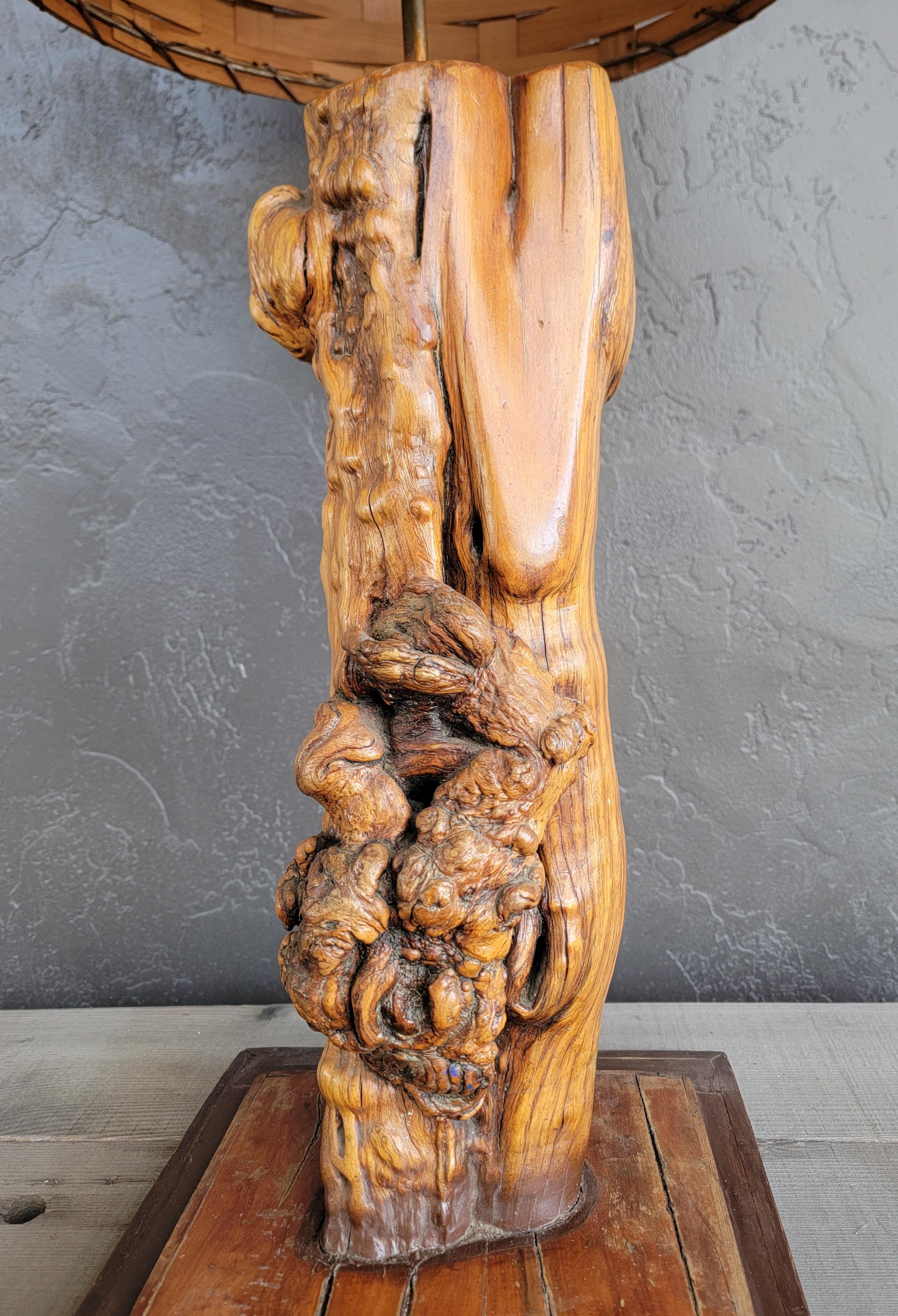 Lampe de table en broussin organique Bon état - En vente à Fulton, CA