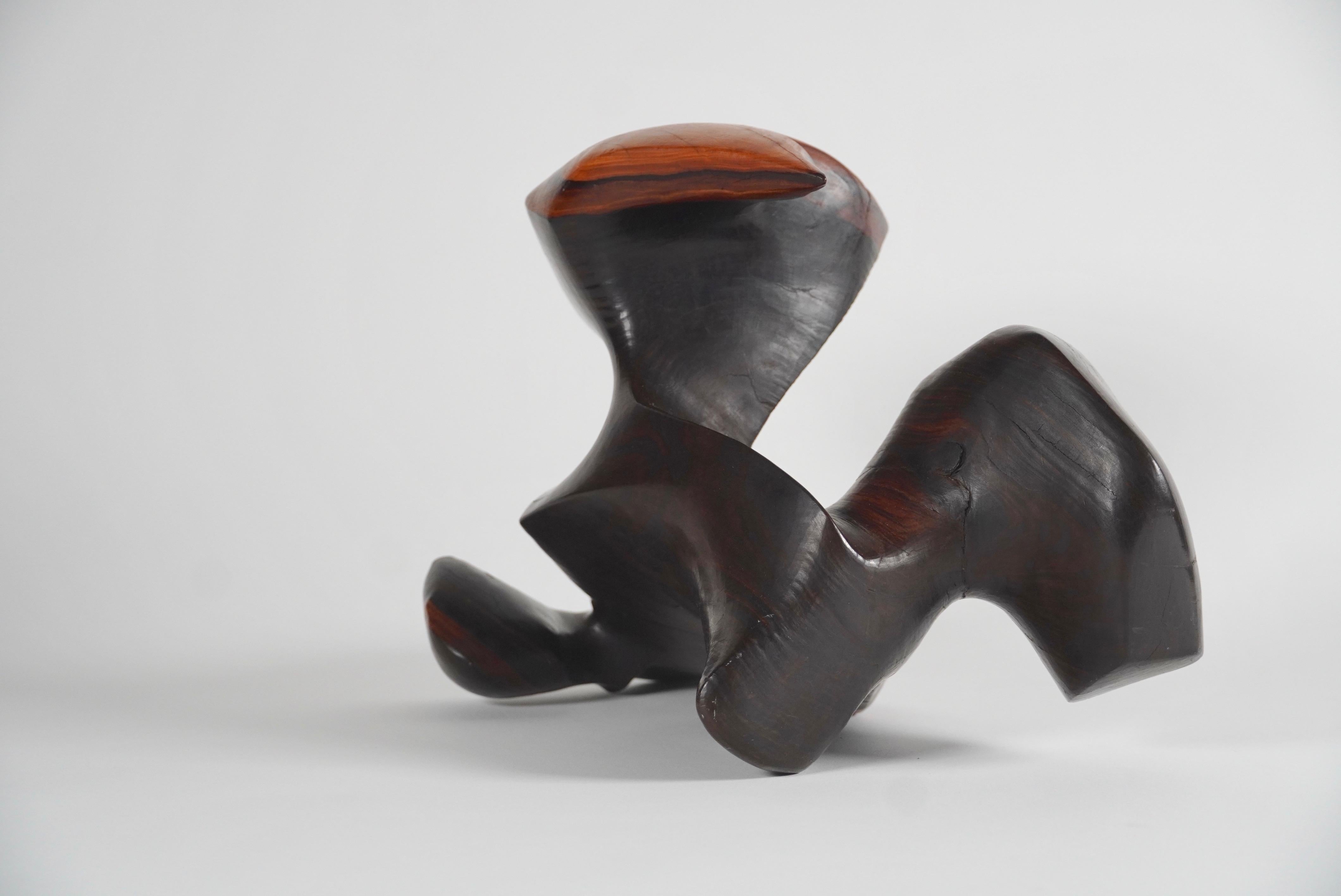 Late 20th Century Organic Modern Carved Rosewood Abstract Sculpture