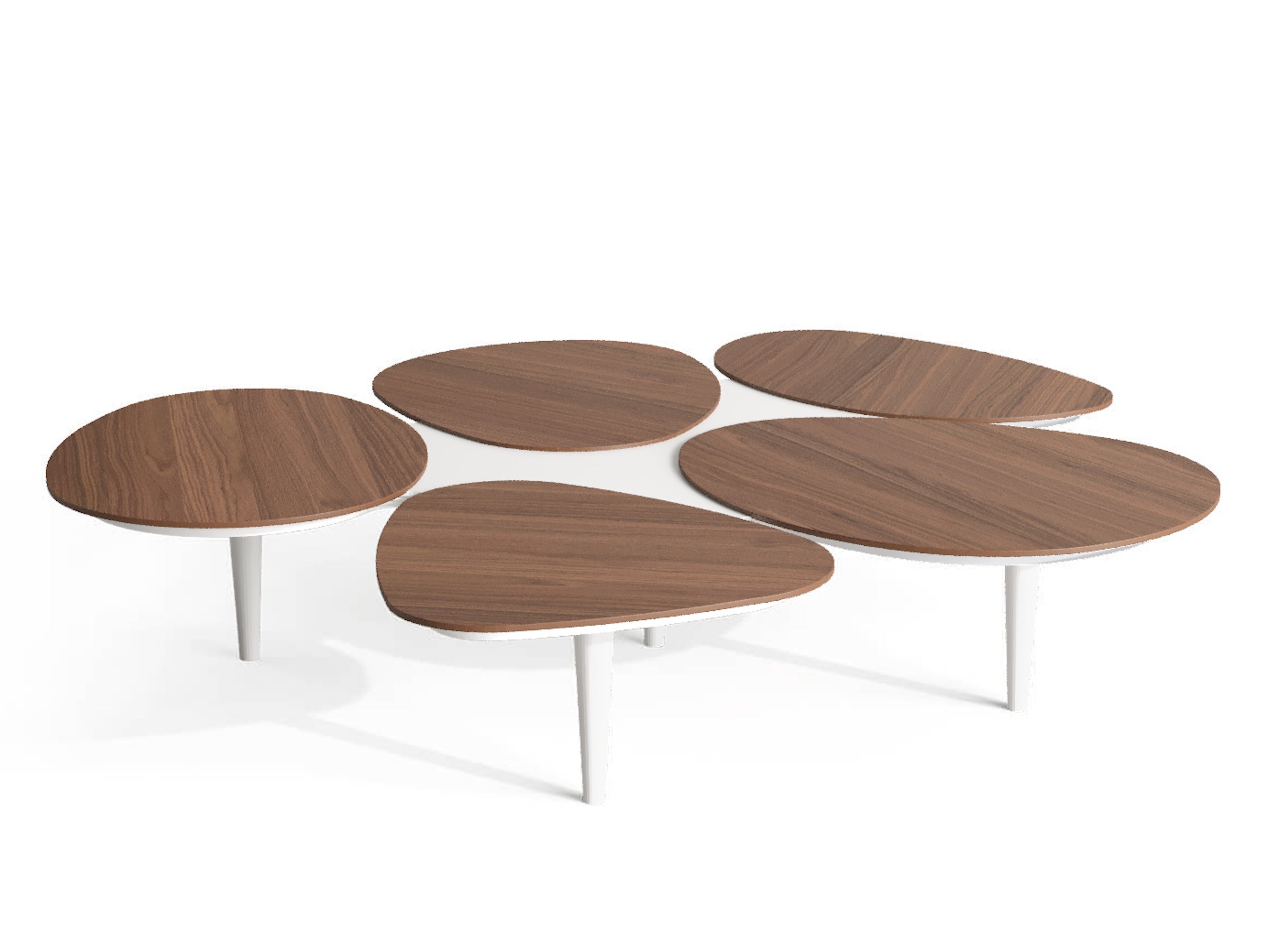 Organic Modern Center Coffee Table in Walnut Wood and White Lacquered Wood