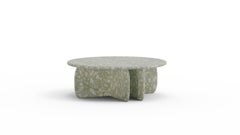 Organic Modern Center Table Catus in Sage Terrazzo Marble