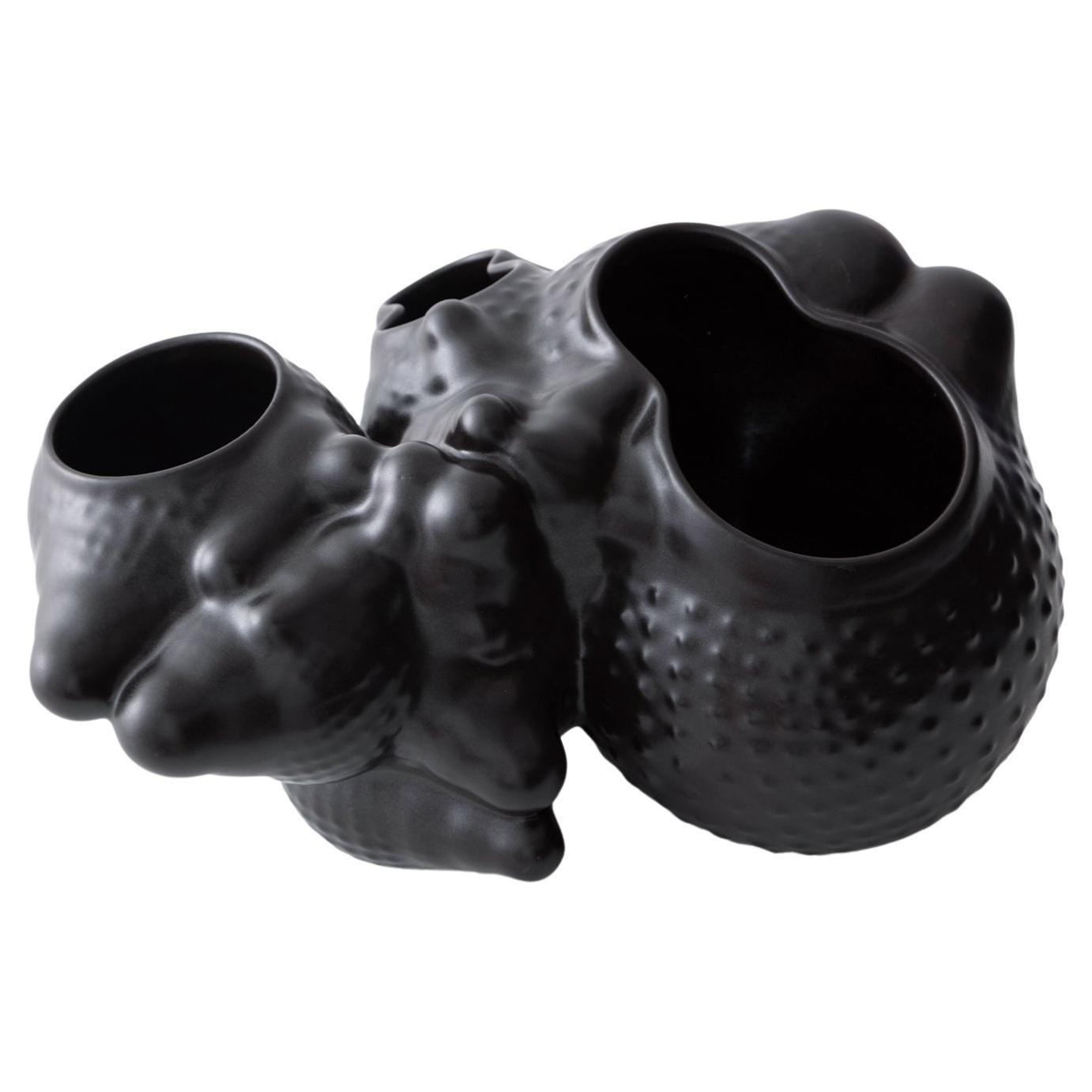 Organic Modern Ceramic Botryoidal Bubbly Planter in Black by Forma Rosa Studio For Sale