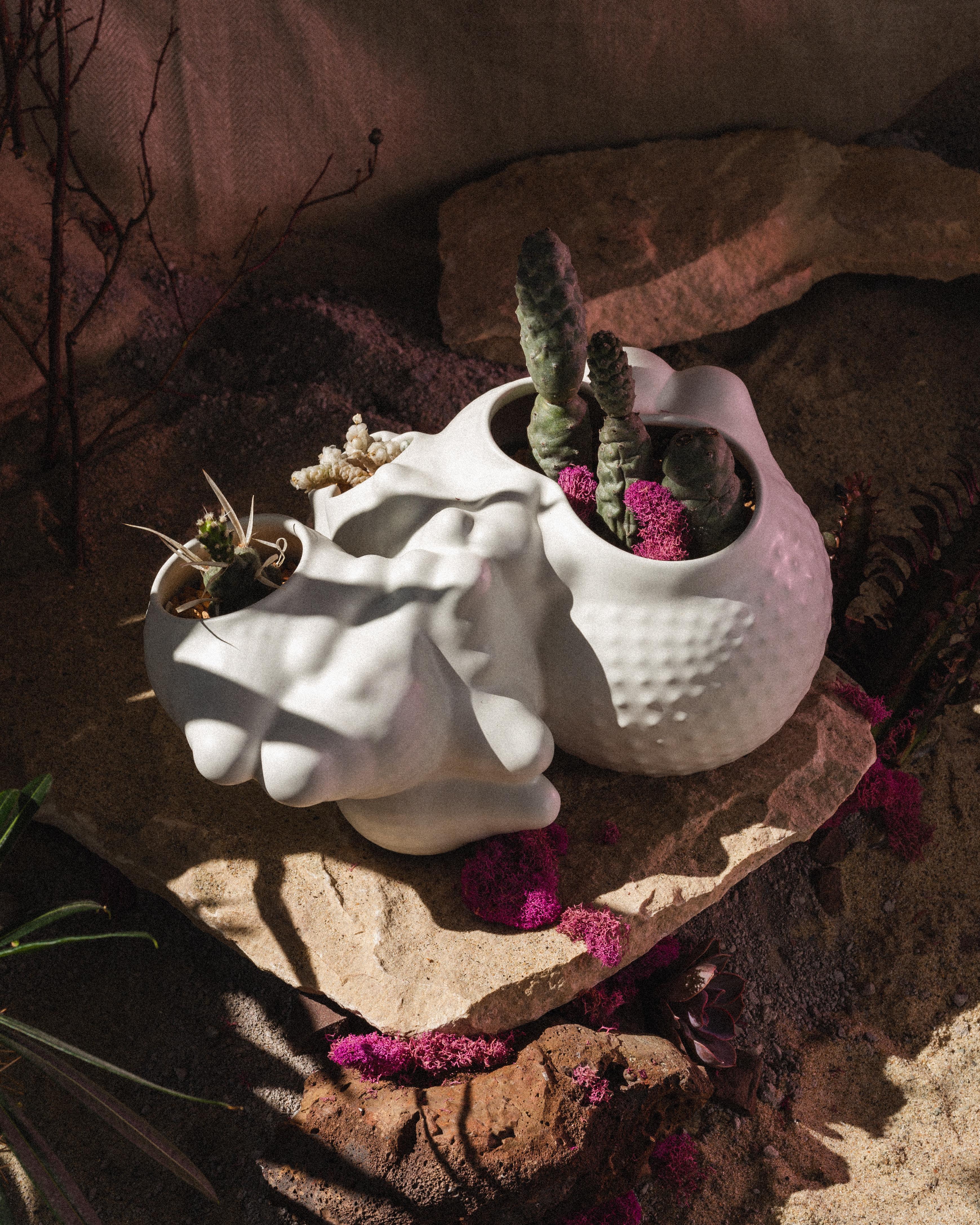 Hand-Crafted Organic Modern Ceramic Botryoidal Bubbly Planter in Cream by Forma Rosa Studio