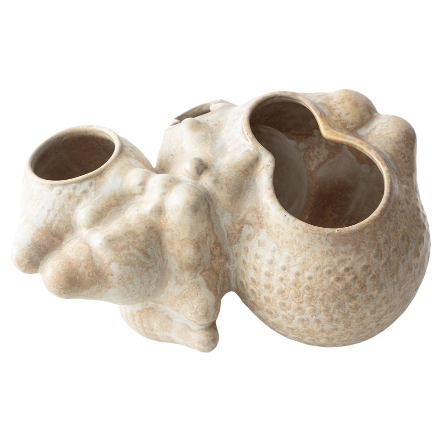 Organic Modern Ceramic Botryoidal Bubbly Planter in Cream by Forma Rosa Studio