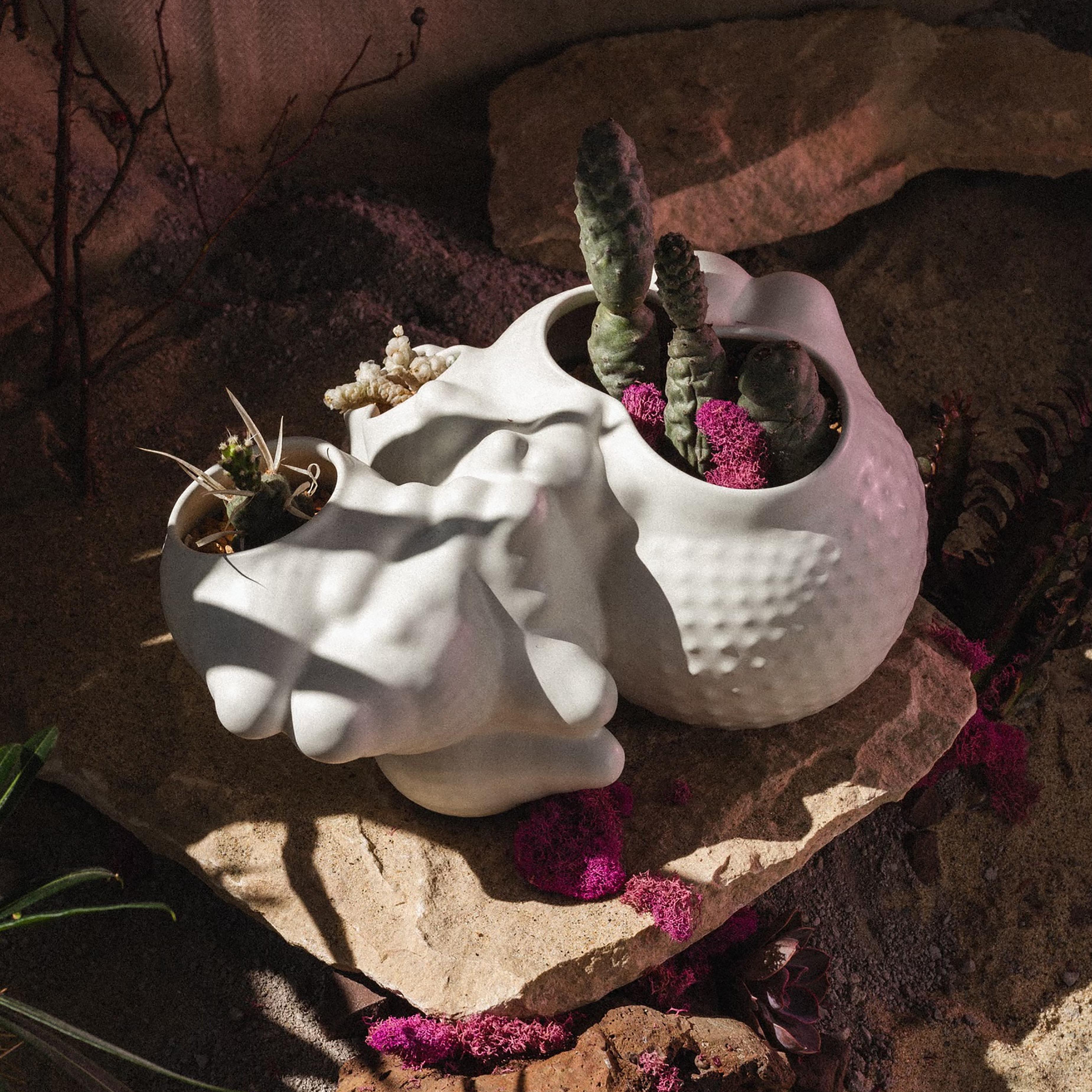 Peruvian Organic Modern Ceramic Botryoidal Bubbly Planter in Pool by Forma Rosa Studio For Sale
