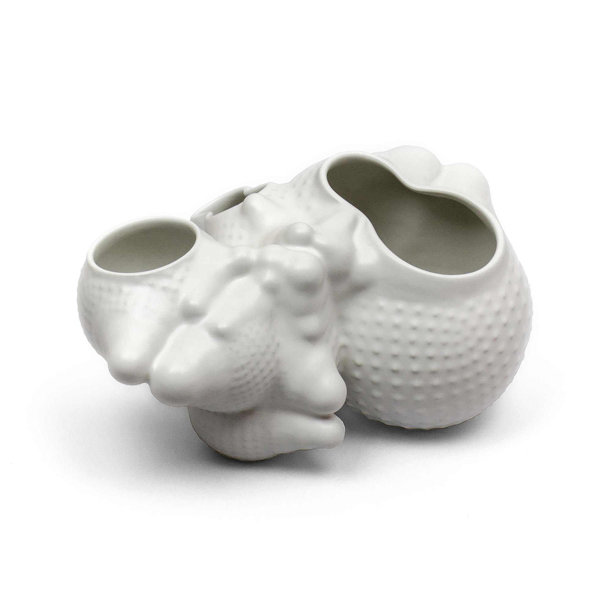 Organic Modern Ceramic Botryoidal Bubbly Planter in White by Forma Rosa Studio For Sale 1