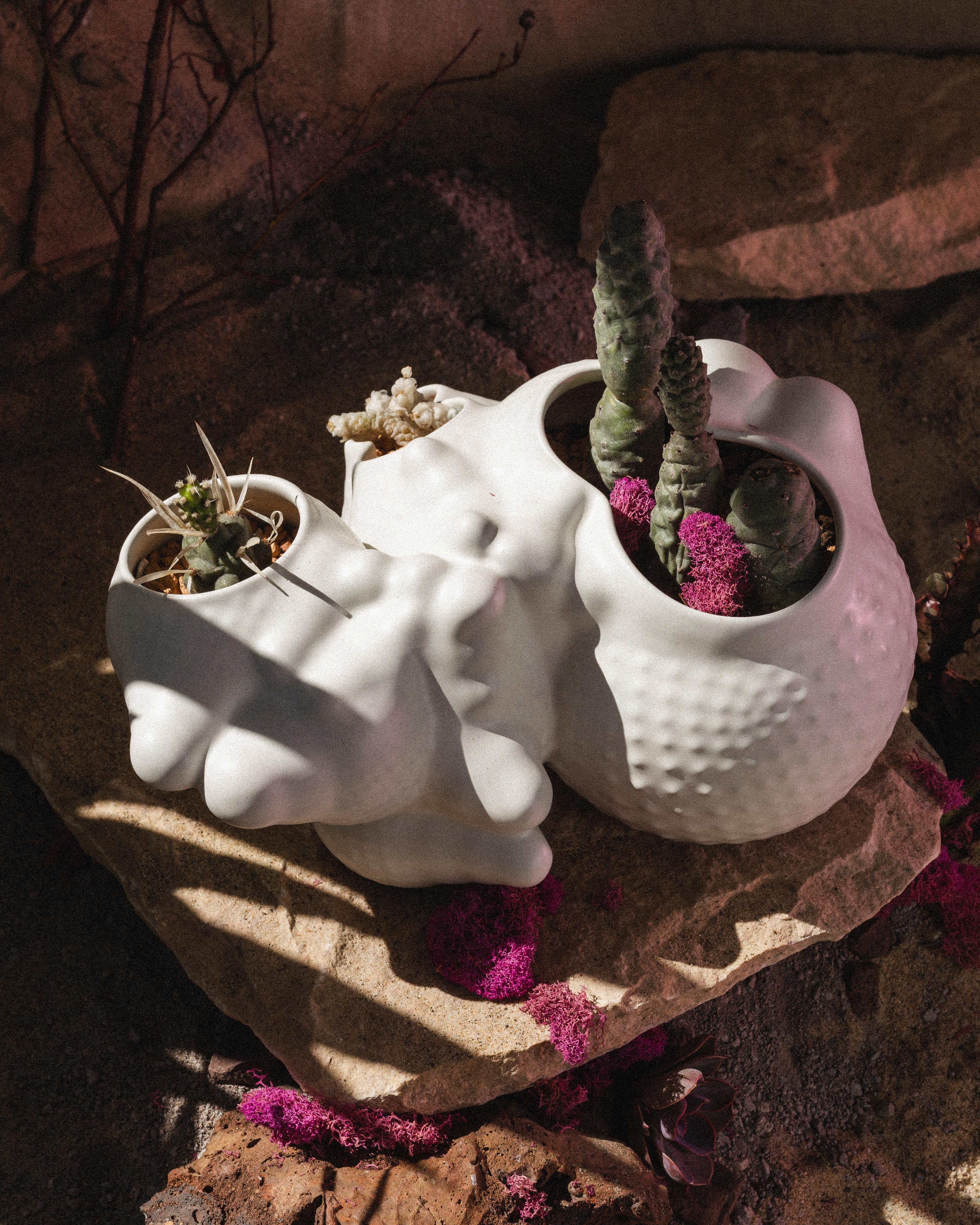 Hand-Crafted Organic Modern Ceramic Botryoidal Bubbly Planter in White by Forma Rosa Studio For Sale