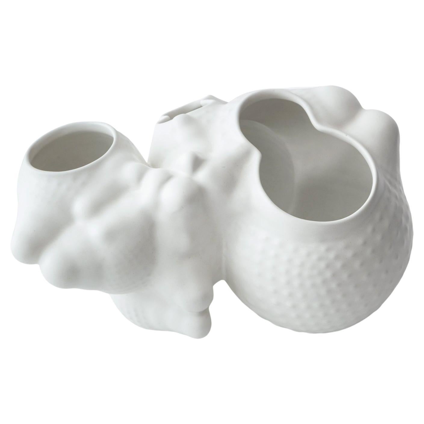 Organic Modern Ceramic Botryoidal Bubbly Planter in White by Forma Rosa Studio