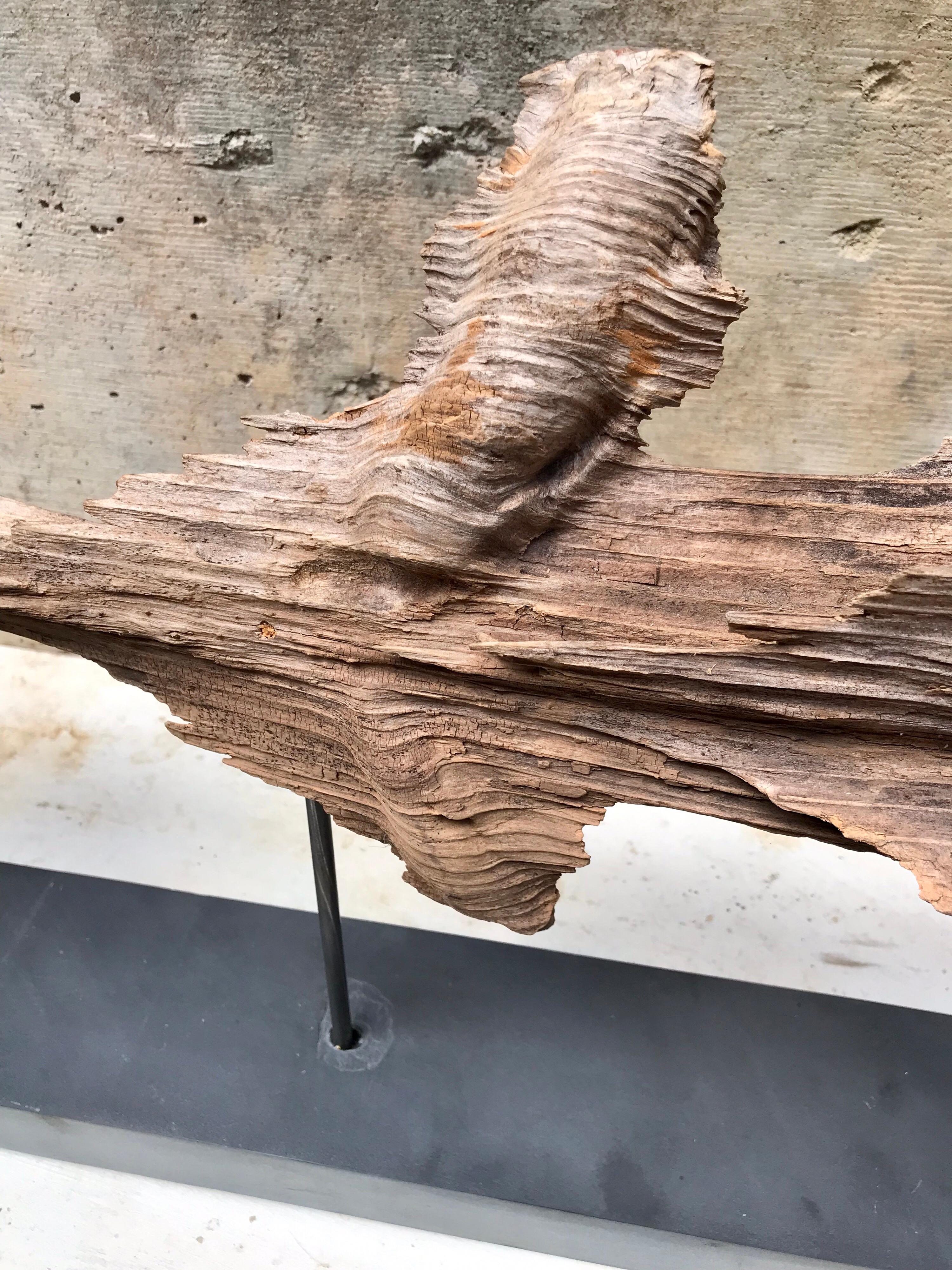 Organic Modern Decorative Mantle Sculpture 4