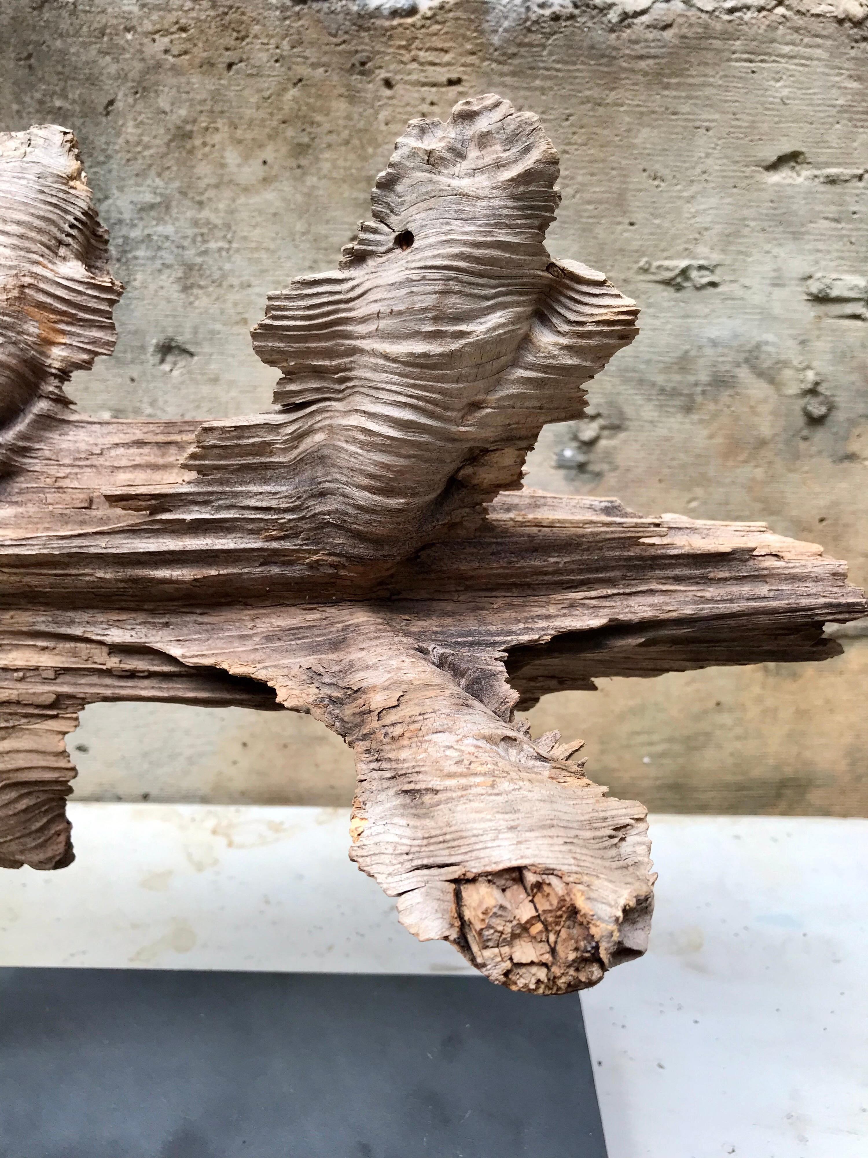 Organic Modern Decorative Mantle Sculpture 5