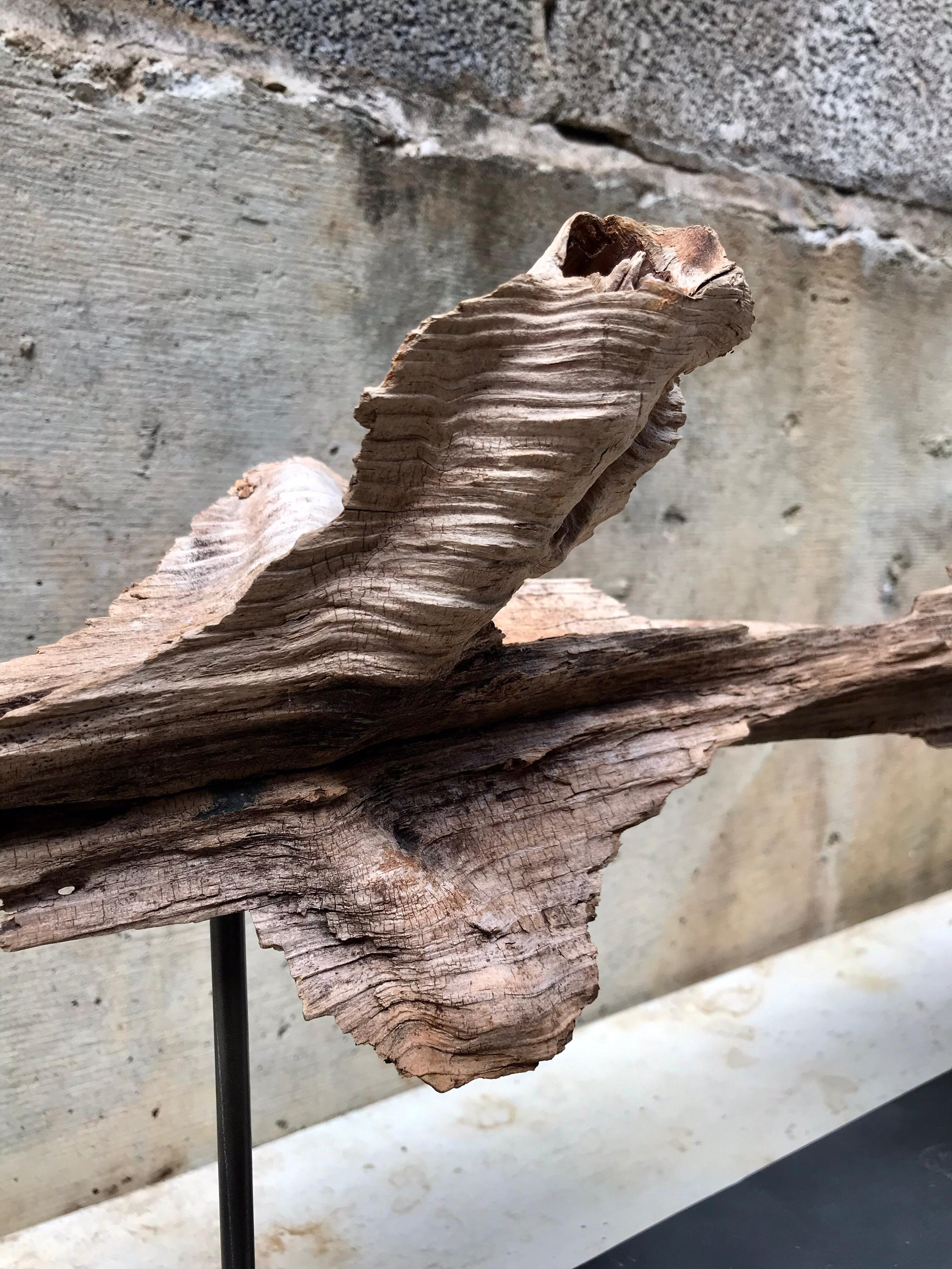 Organic Modern Decorative Mantle Sculpture 7