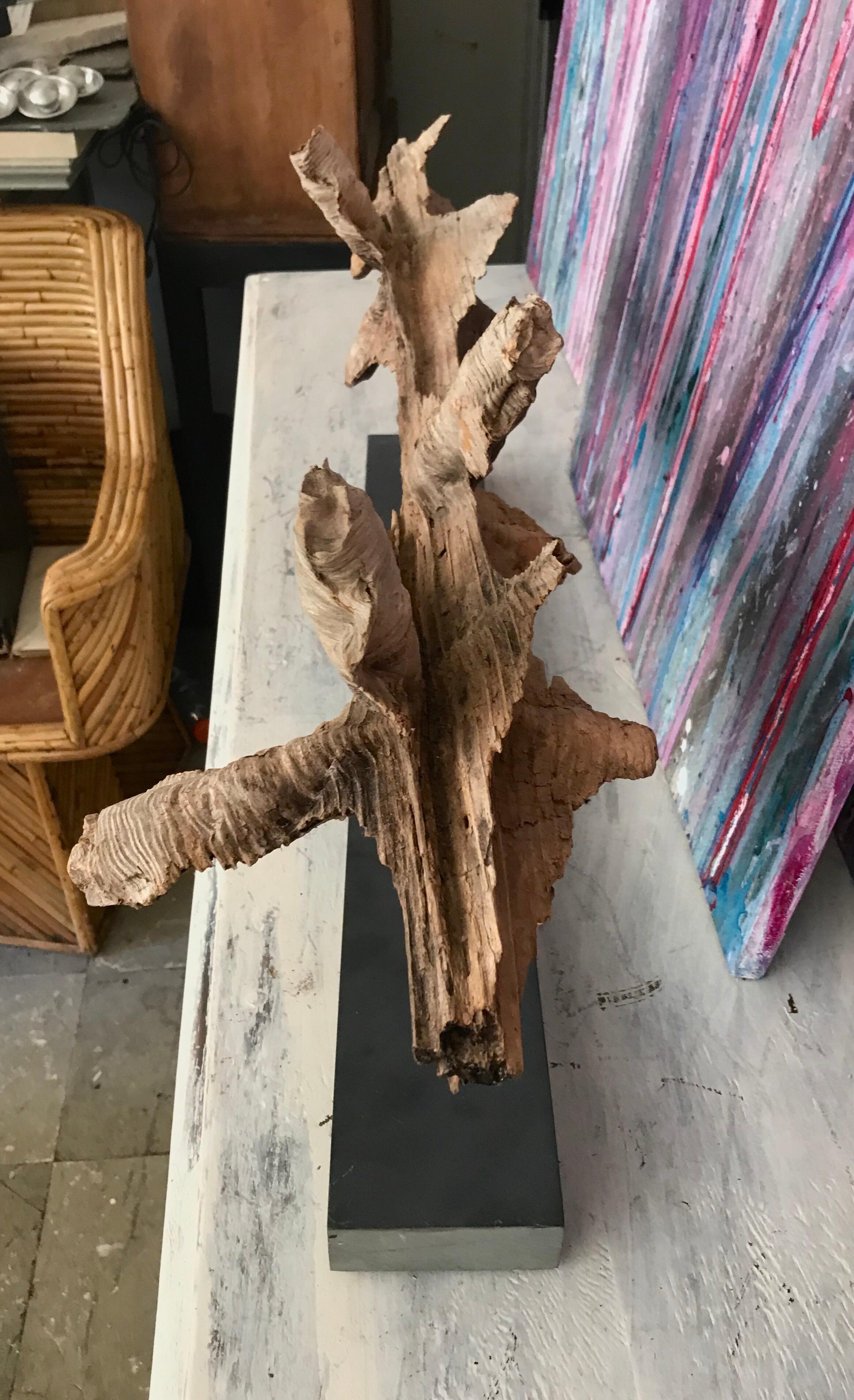 American Organic Modern Decorative Mantle Sculpture