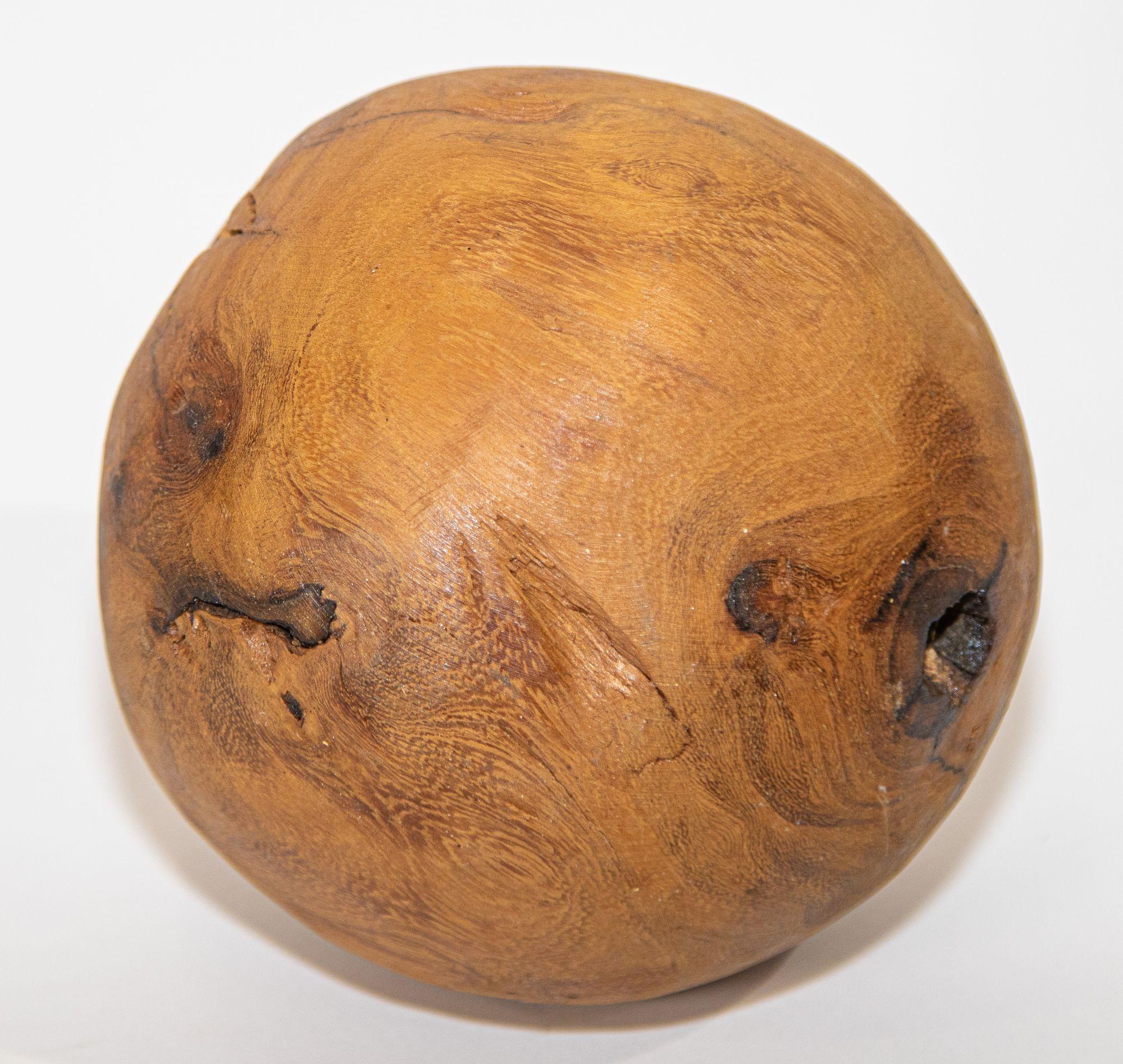 Antarctican Organic Modern Decorative Teak Wood Ball Sculpture