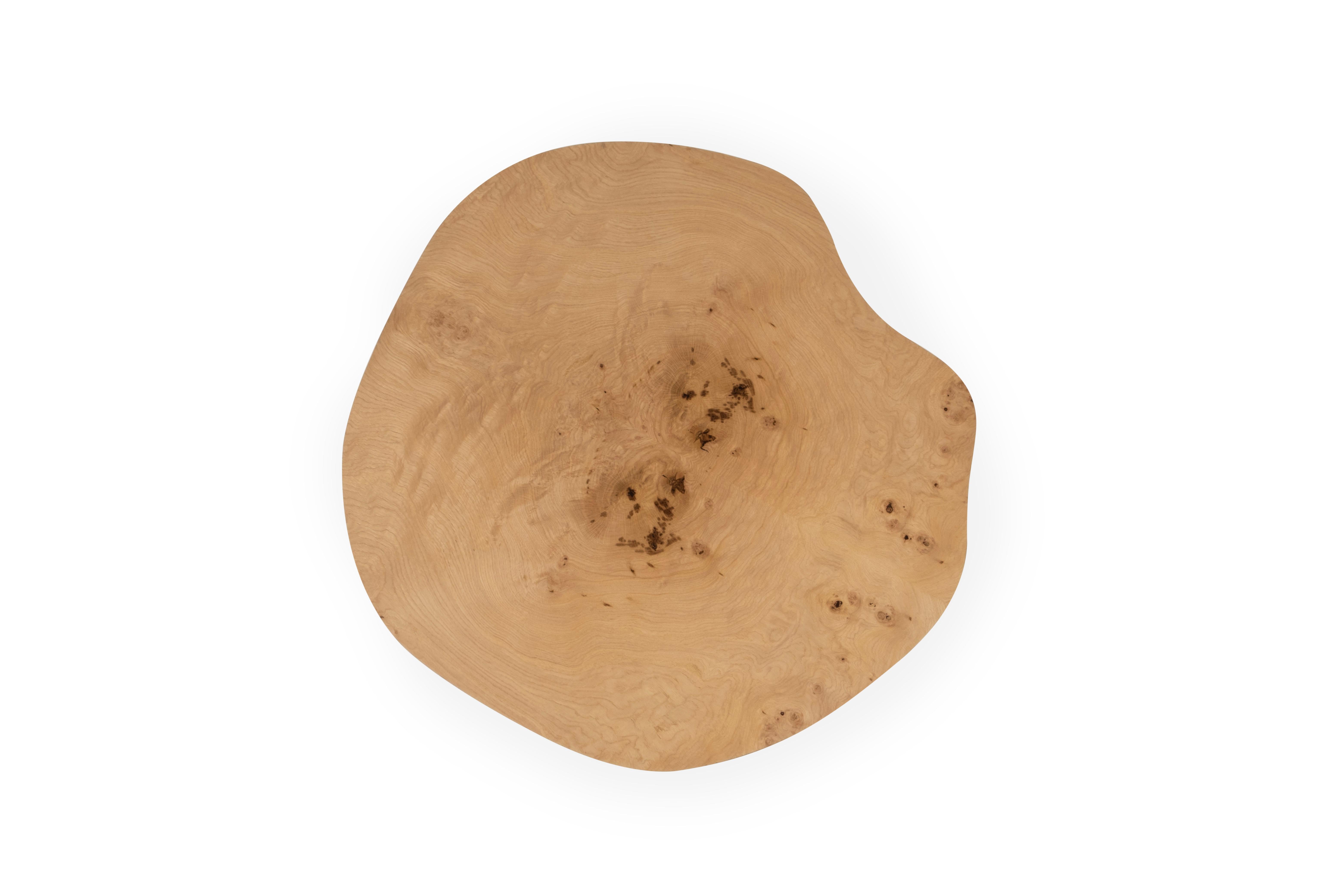 Organic Modern Dornes Coffee Table, Oak Root, Handmade in Portugal by Greenapple In New Condition For Sale In Lisboa, PT