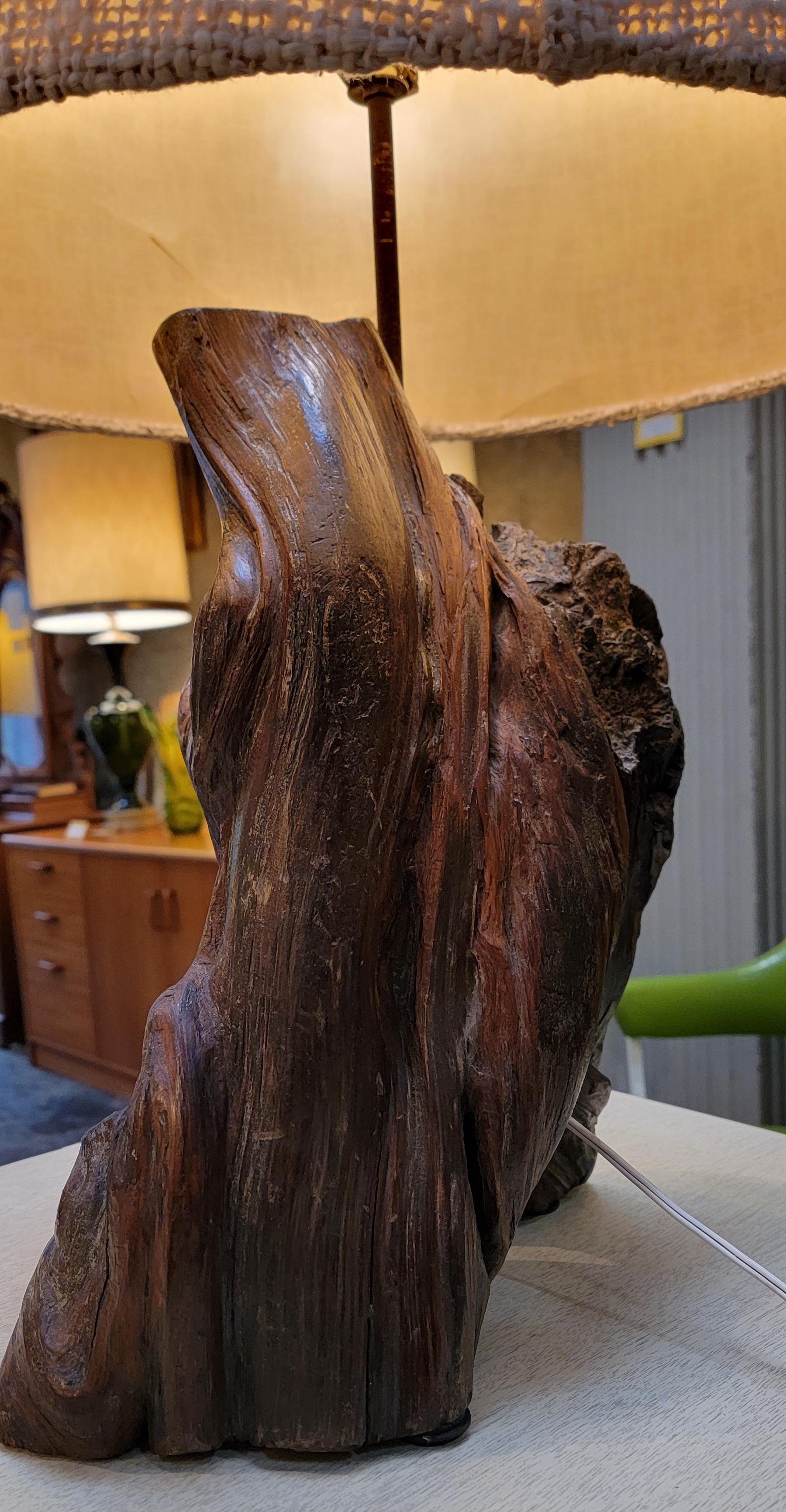 Organic Modern Driftwood Root Table Lamp For Sale 2