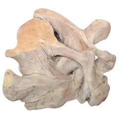 Organic Modern Driftwood Stump Coffee Table Base