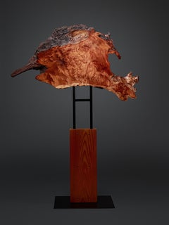 Organic Modern Floor Sculpture Rare Salvaged California Redwood Burl: Inferno
