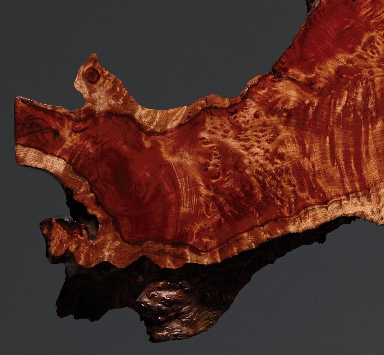 Organische moderne Bodenskulptur, seltene geborgene kalifornische Redwood-Wurzelholz-Skulptur: Inferno (amerikanisch) im Angebot