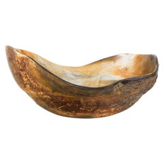Organic Modern Horn Bowl Pure Sculptural Elegance