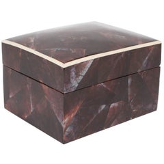 Organic Modern Lacquered Pen Shell Box with Bone Trim Detail