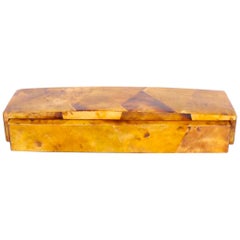 Organic Modern Mosaic Decorative Box in Tortoise Colored Pen Shell