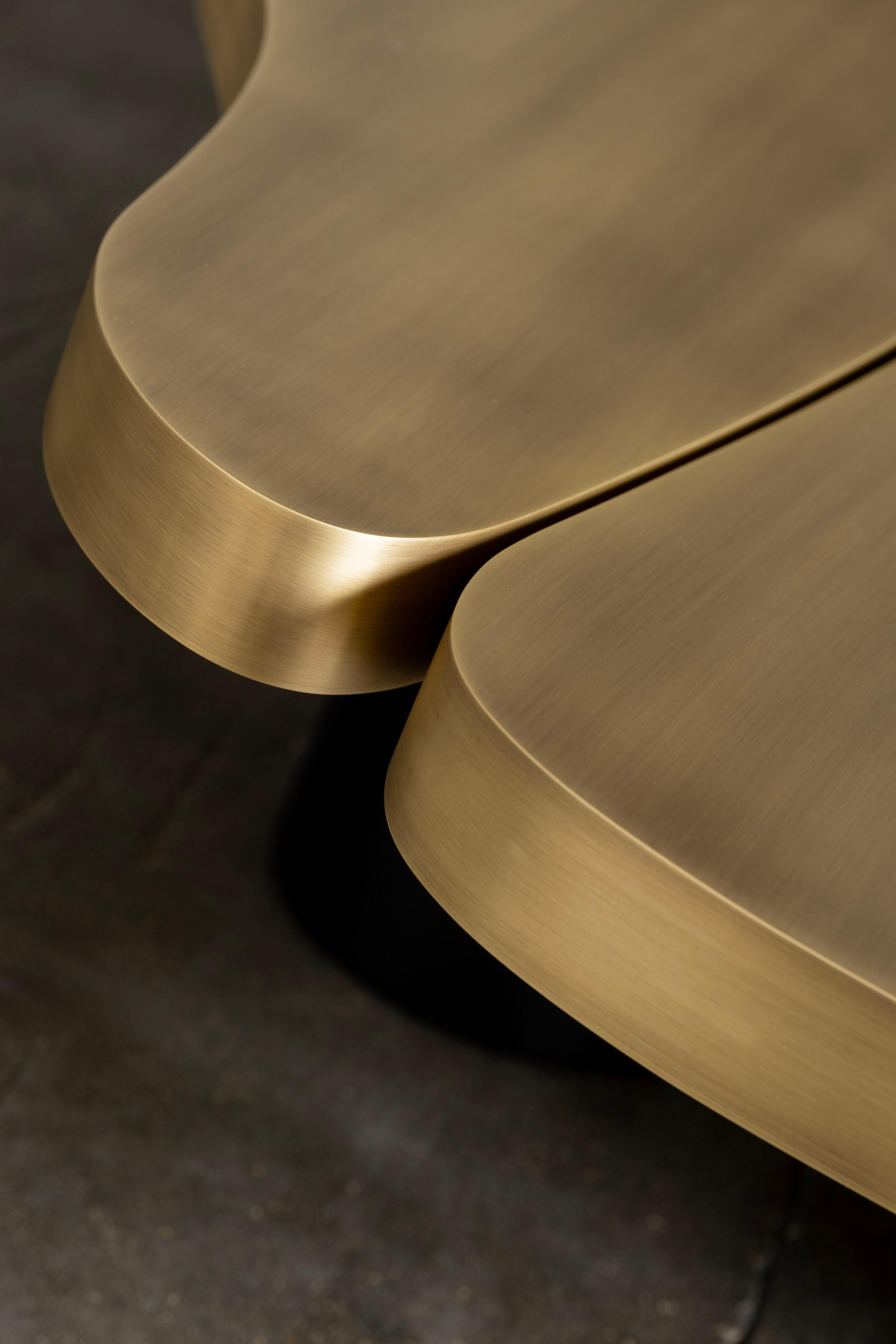 Table basse moderne et organique MyBrain, laiton, ébène, fabriquée à la main par Greenapple en vente 9