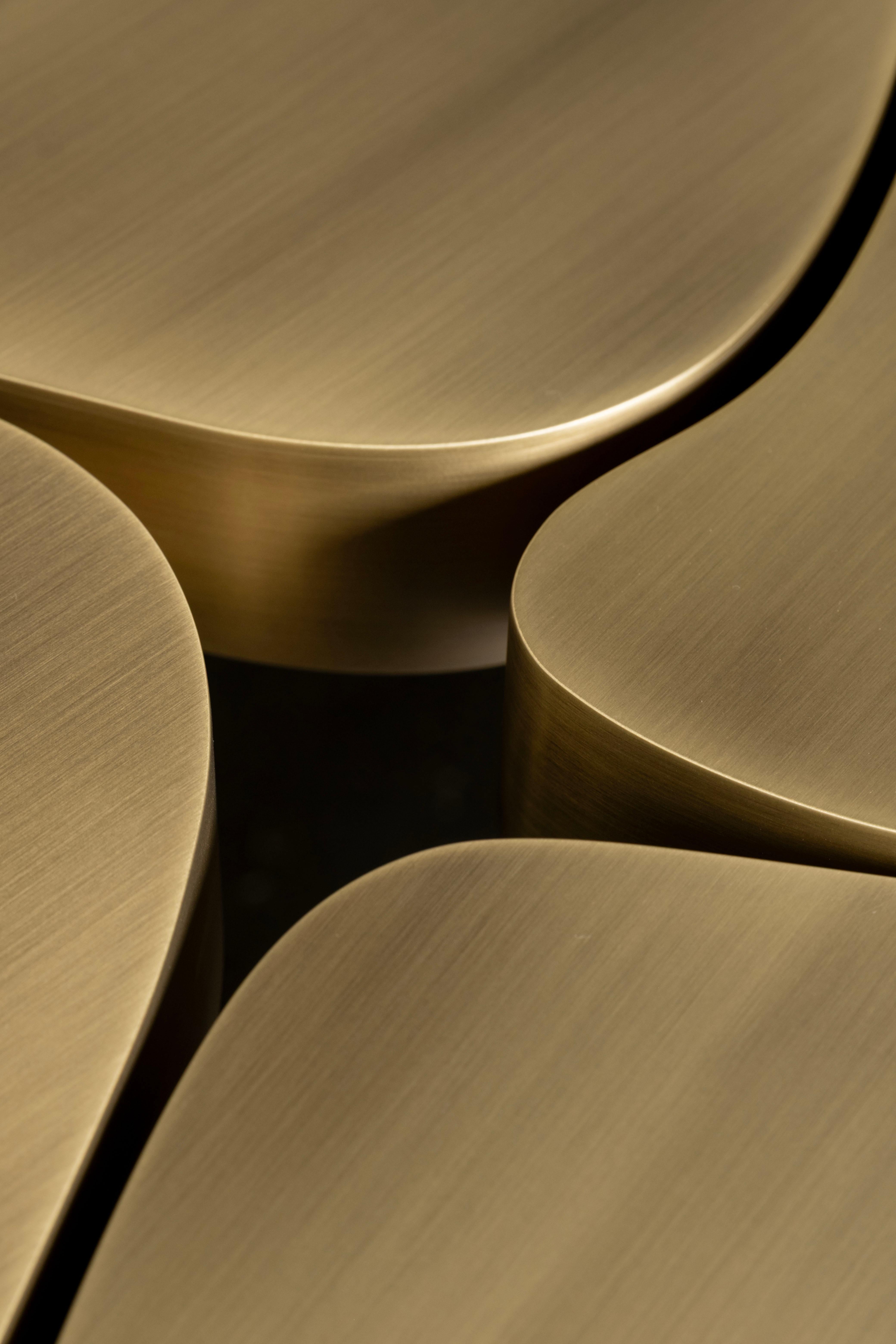 Table basse moderne et organique MyBrain, laiton, ébène, fabriquée à la main par Greenapple en vente 11