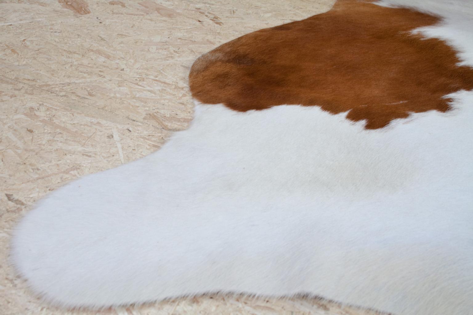 Organic Modern Natural White and Brown Cowhide or Rug, Dutch Cattle, 2018 2