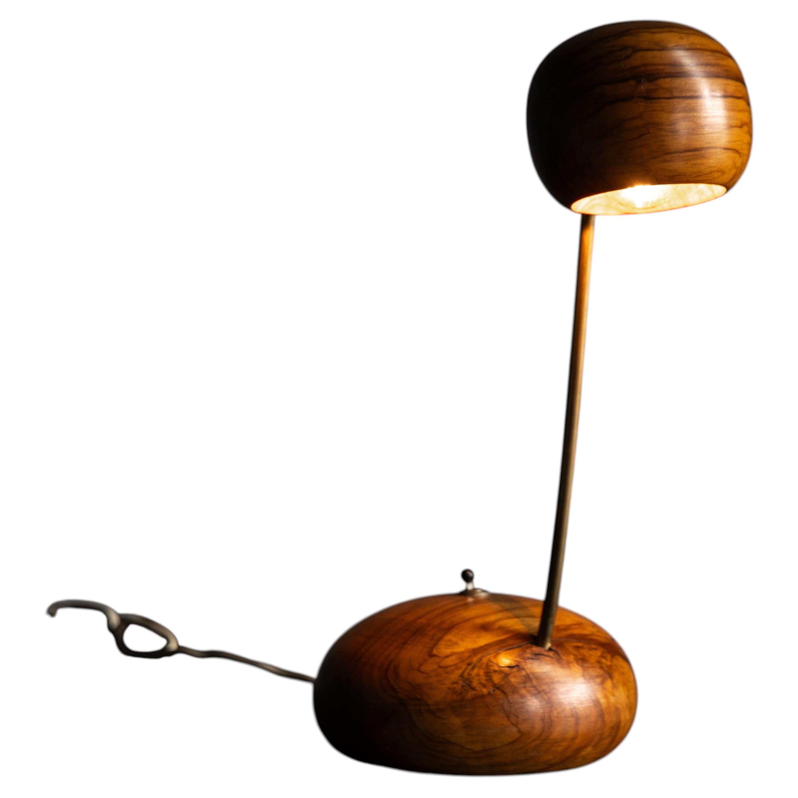 Organic Modern Olive Wood Table Lamp, Circa 1970