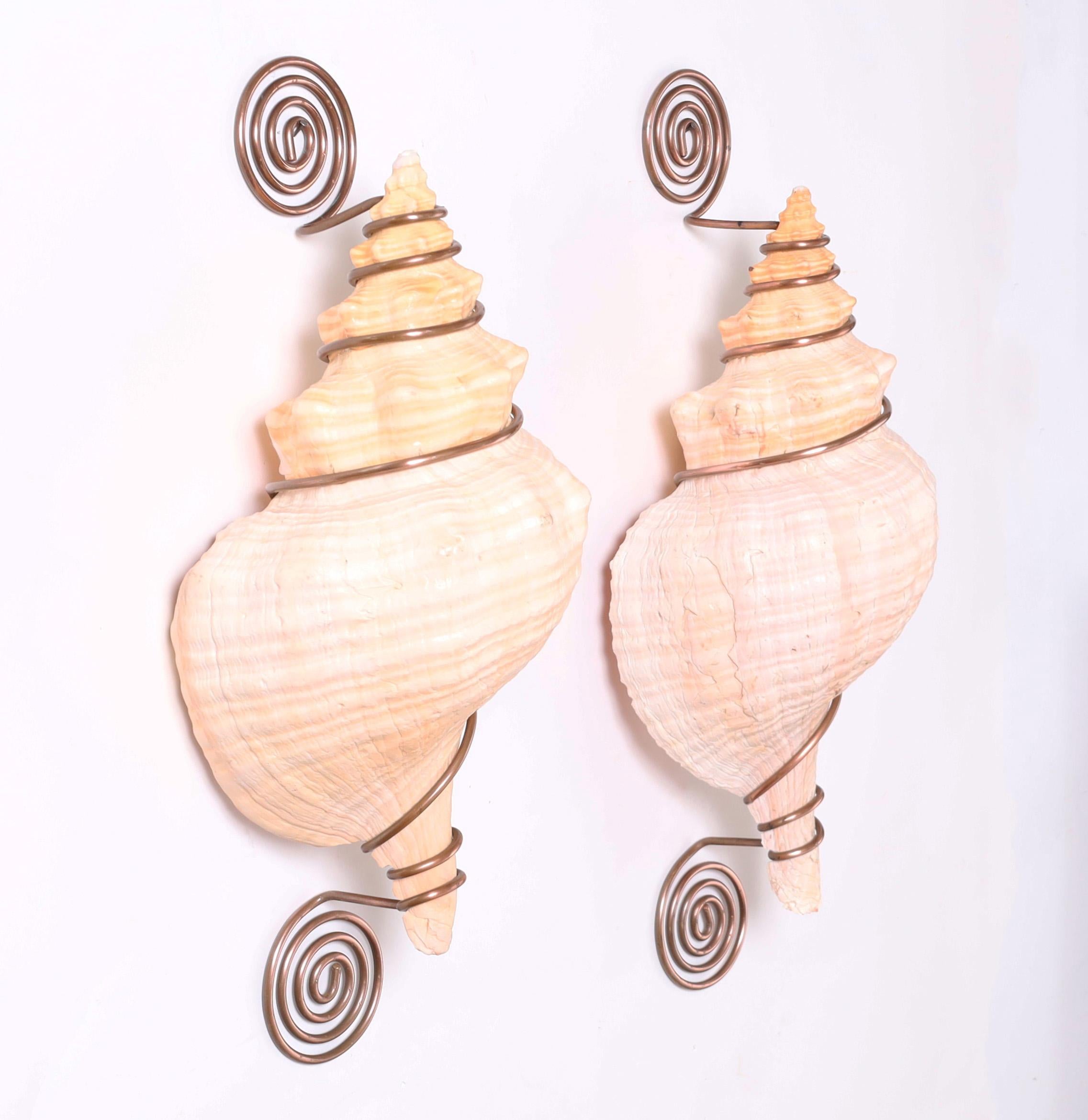 Other Organic Modern Pair of Conch Shell and Copper Wall Ornaments For Sale