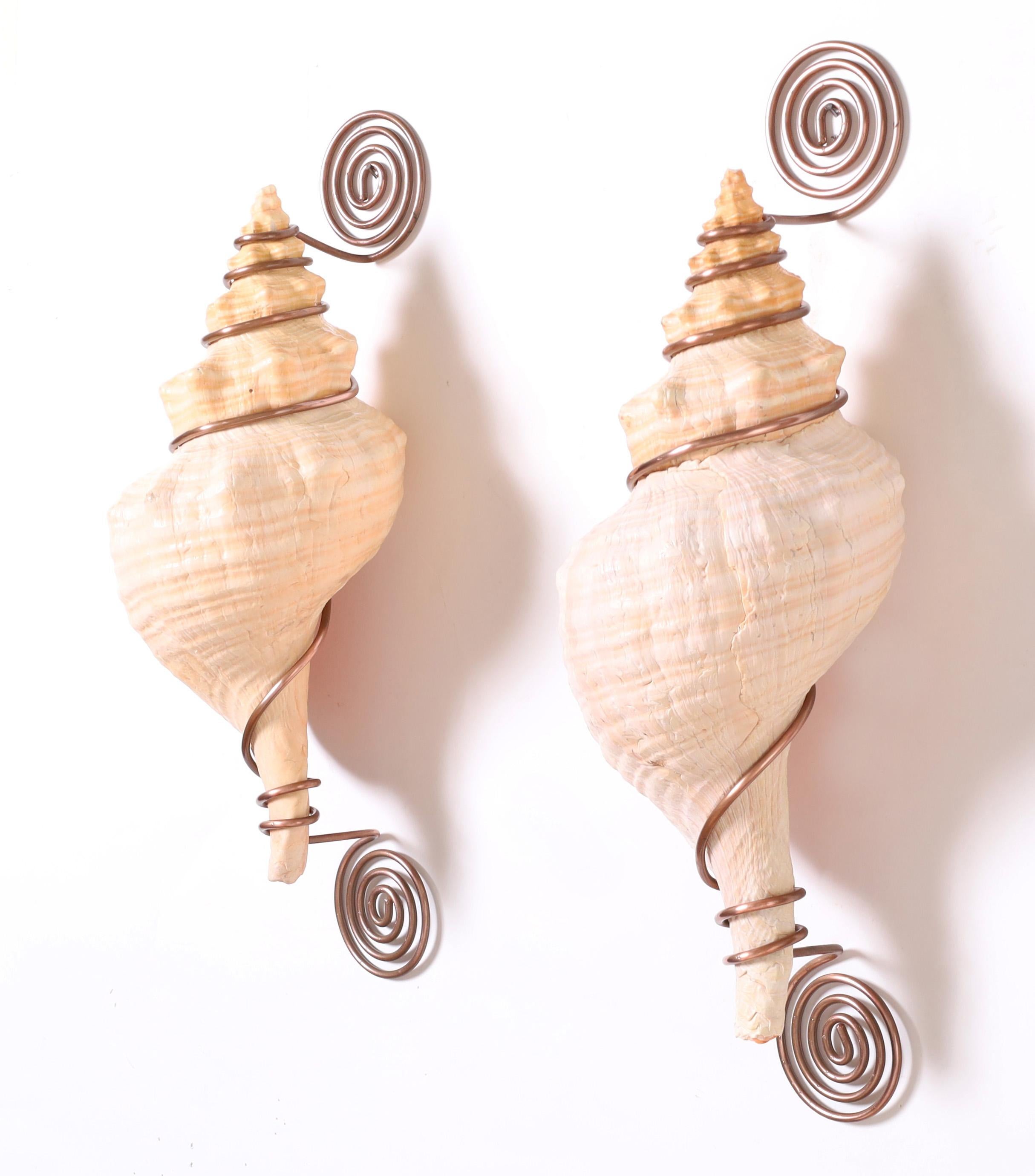 American Organic Modern Pair of Conch Shell and Copper Wall Ornaments For Sale
