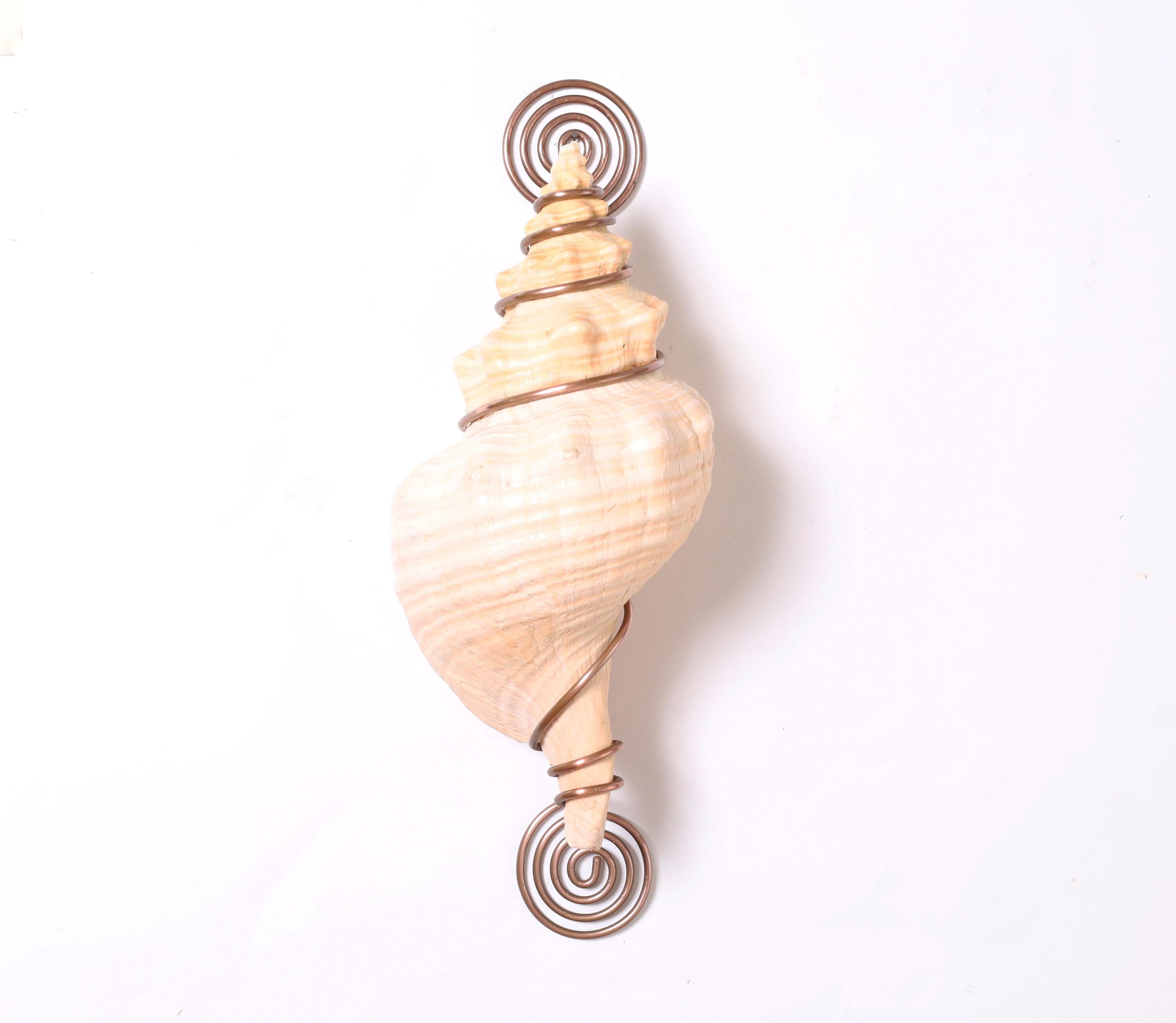 Hand-Crafted Organic Modern Pair of Conch Shell and Copper Wall Ornaments For Sale