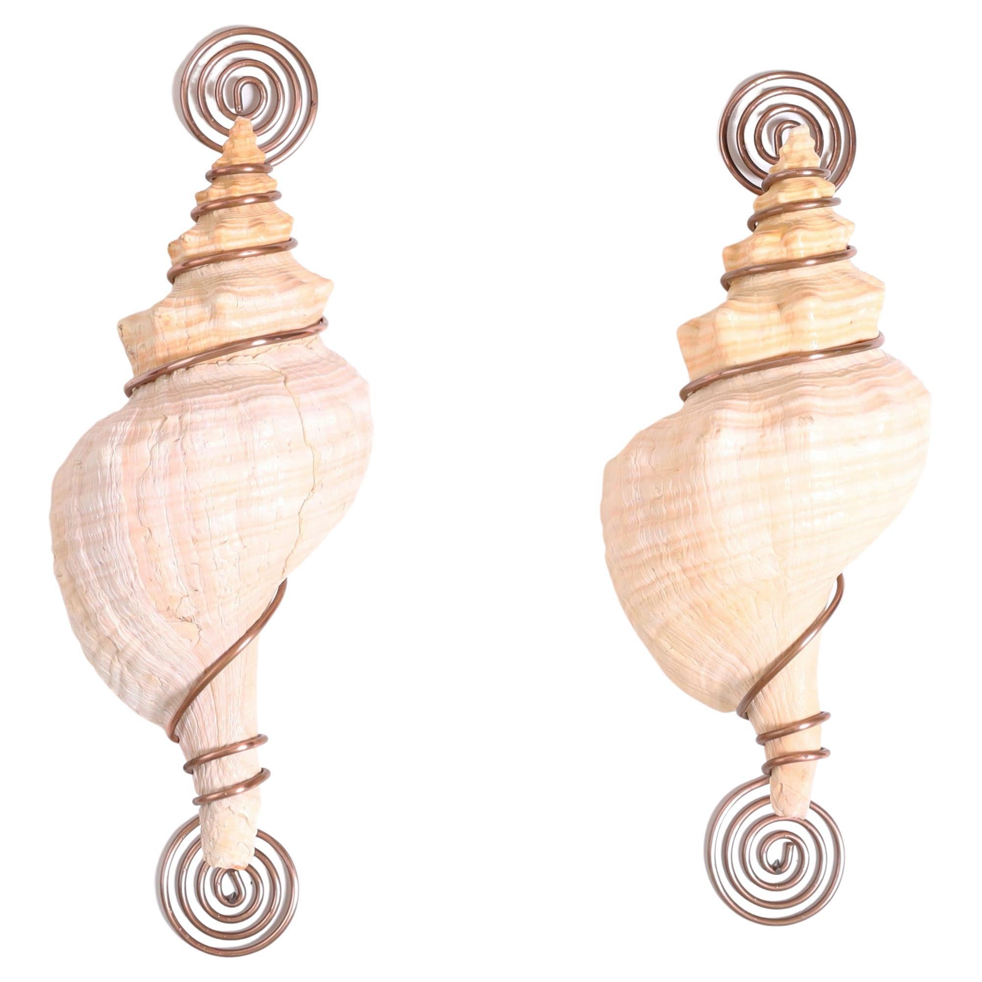 Organic Modern Pair of Conch Shell and Copper Wall Ornaments For Sale