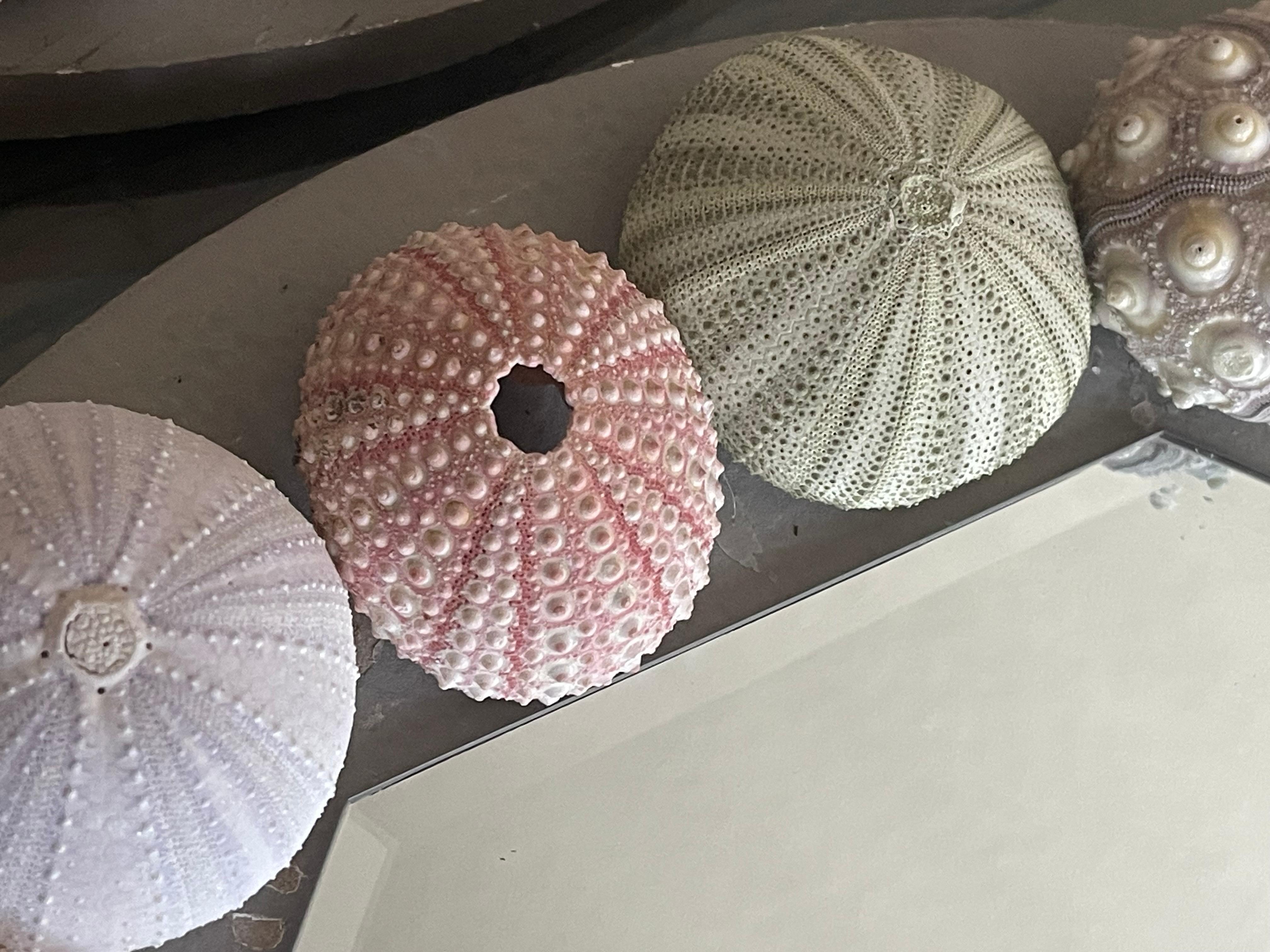 Coquillage Paire de miroirs octogonaux en coquillage The Modernity en vente