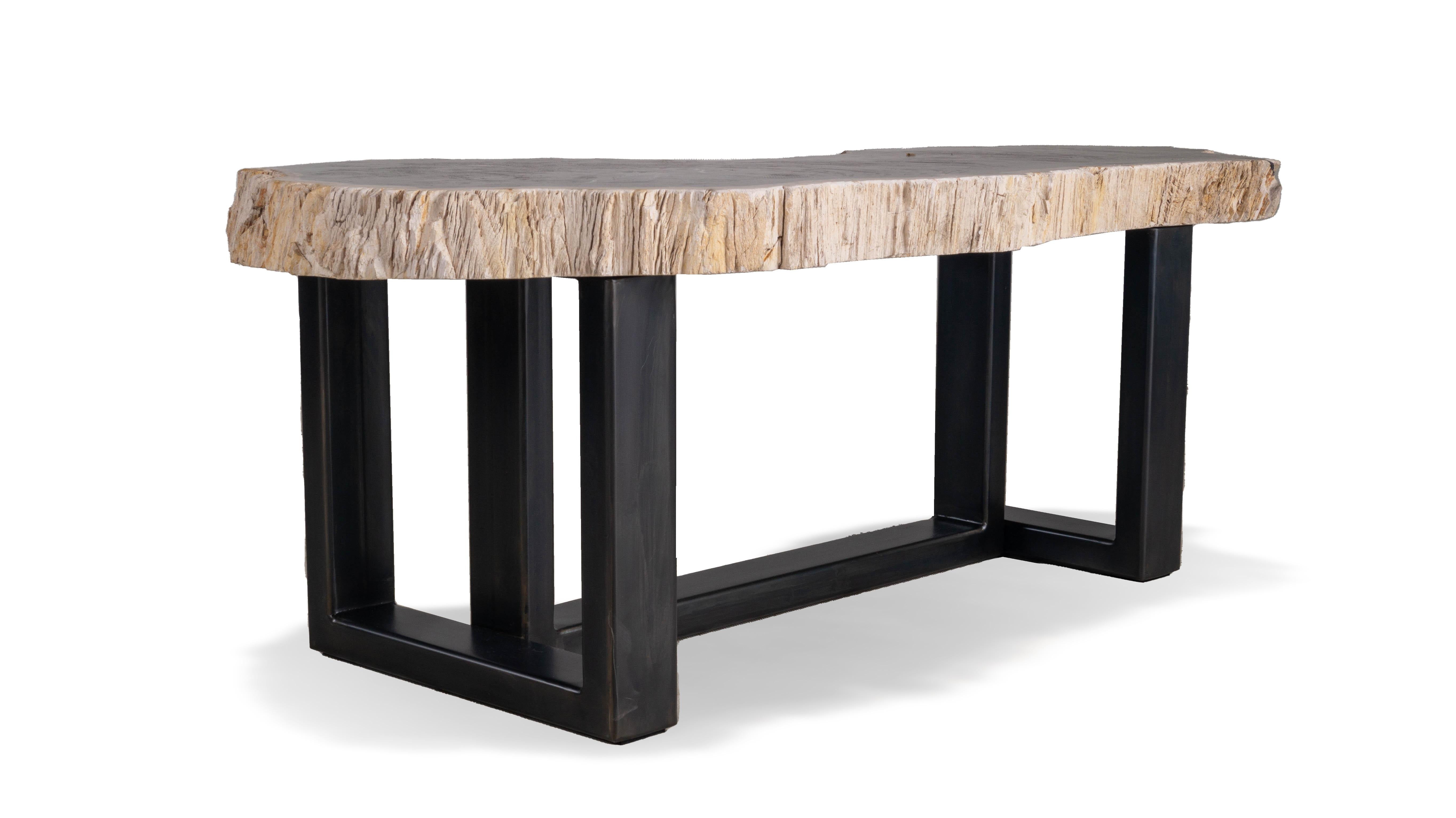 Organic Modern Petrified Wood Coffee Table For Sale at 1stDibs