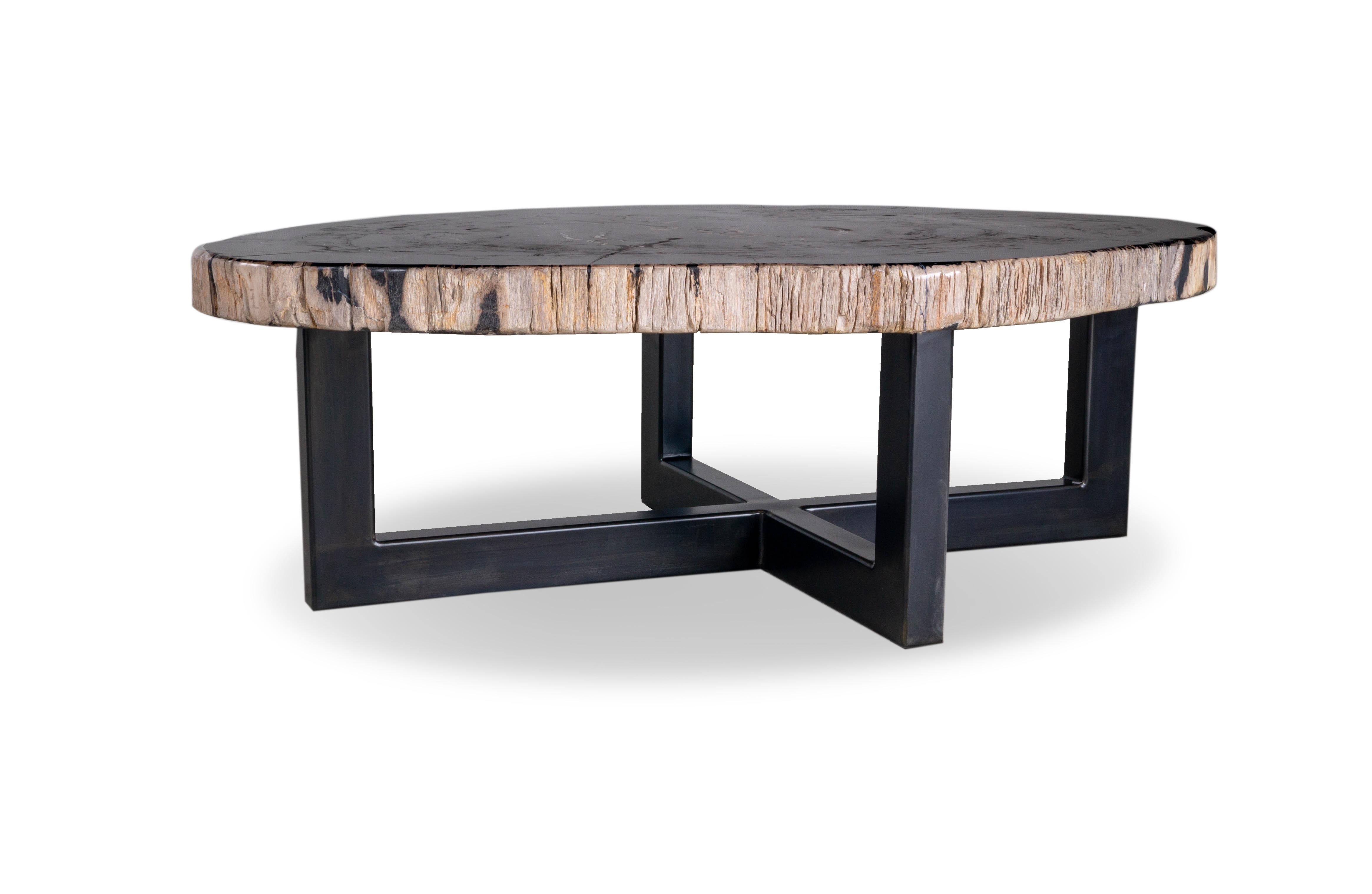 Ebonized Organic Modern Petrified Wood Coffee Table