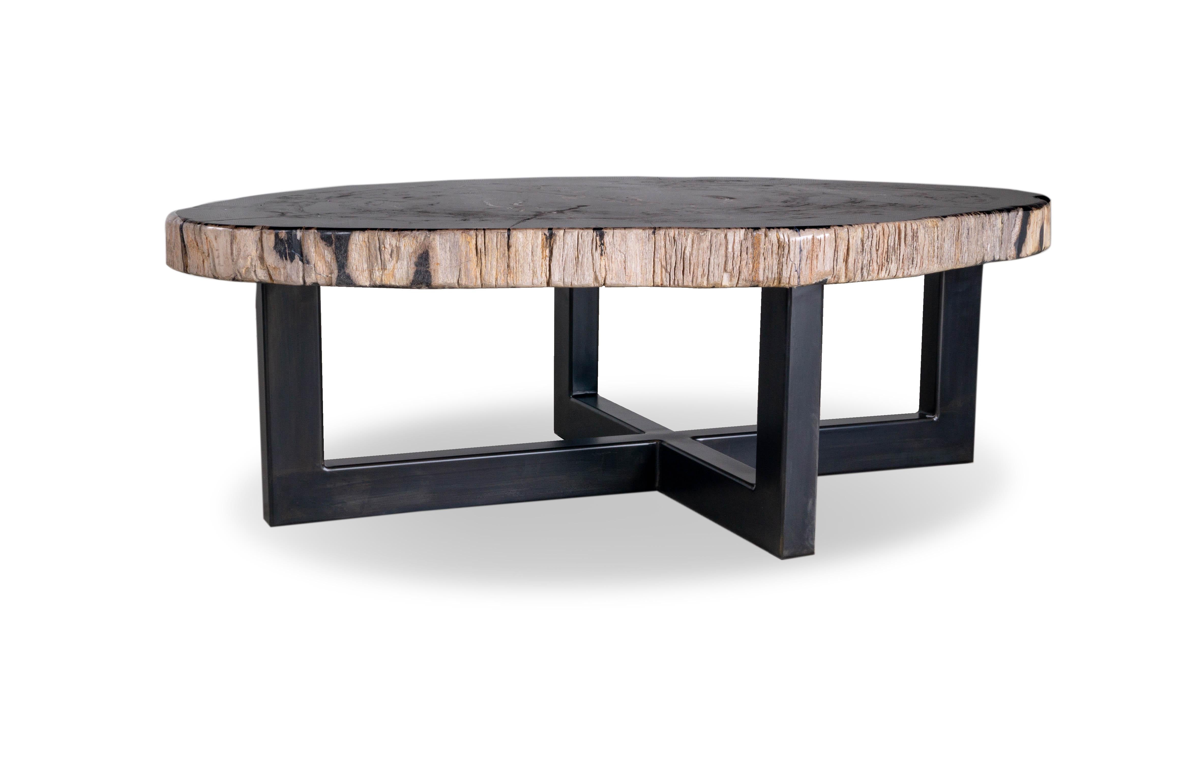 Ebonized Organic Modern Petrified Wood Coffee Table For Sale