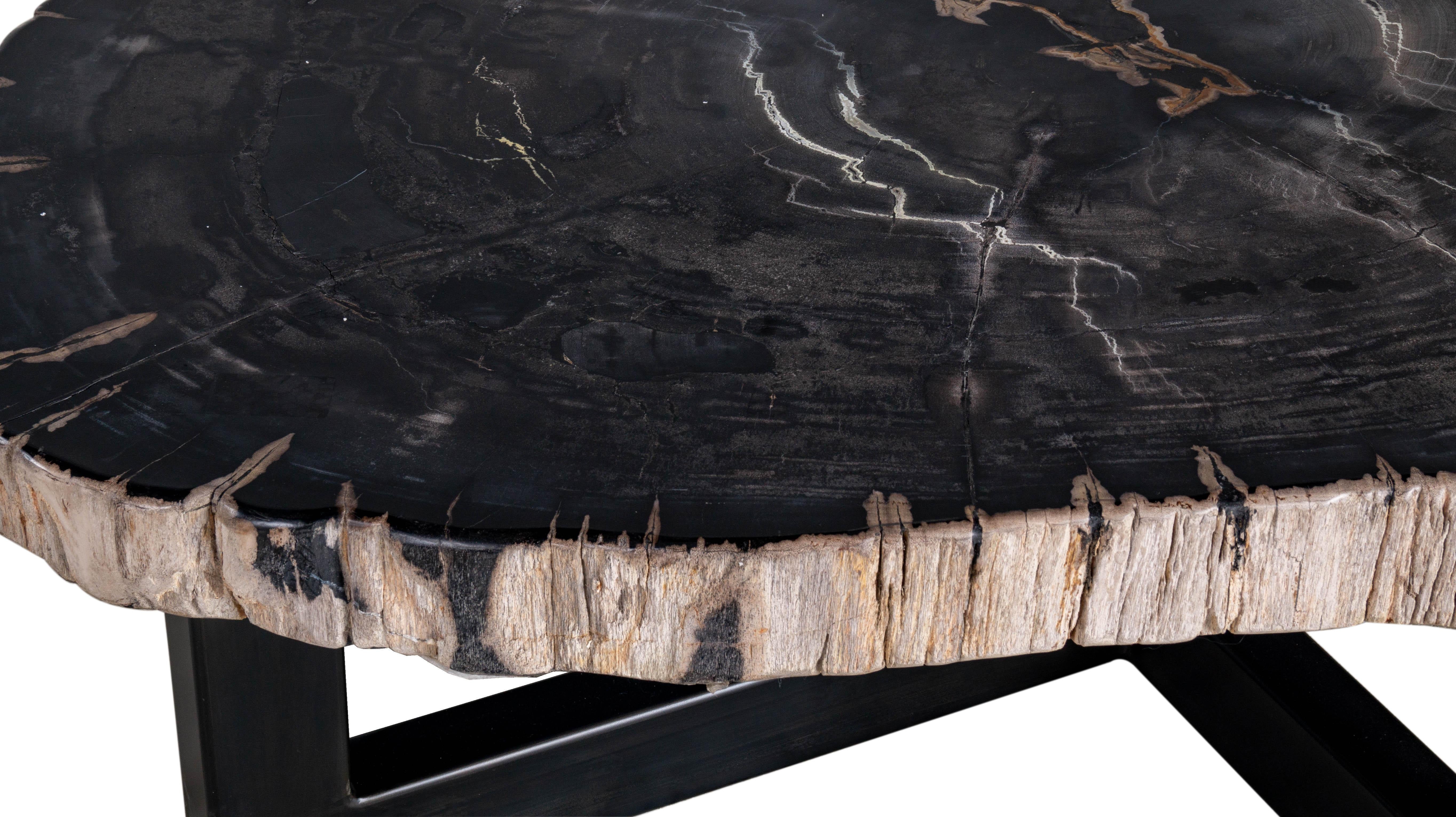 Organic Modern Petrified Wood Coffee Table In Good Condition For Sale In Dallas, TX
