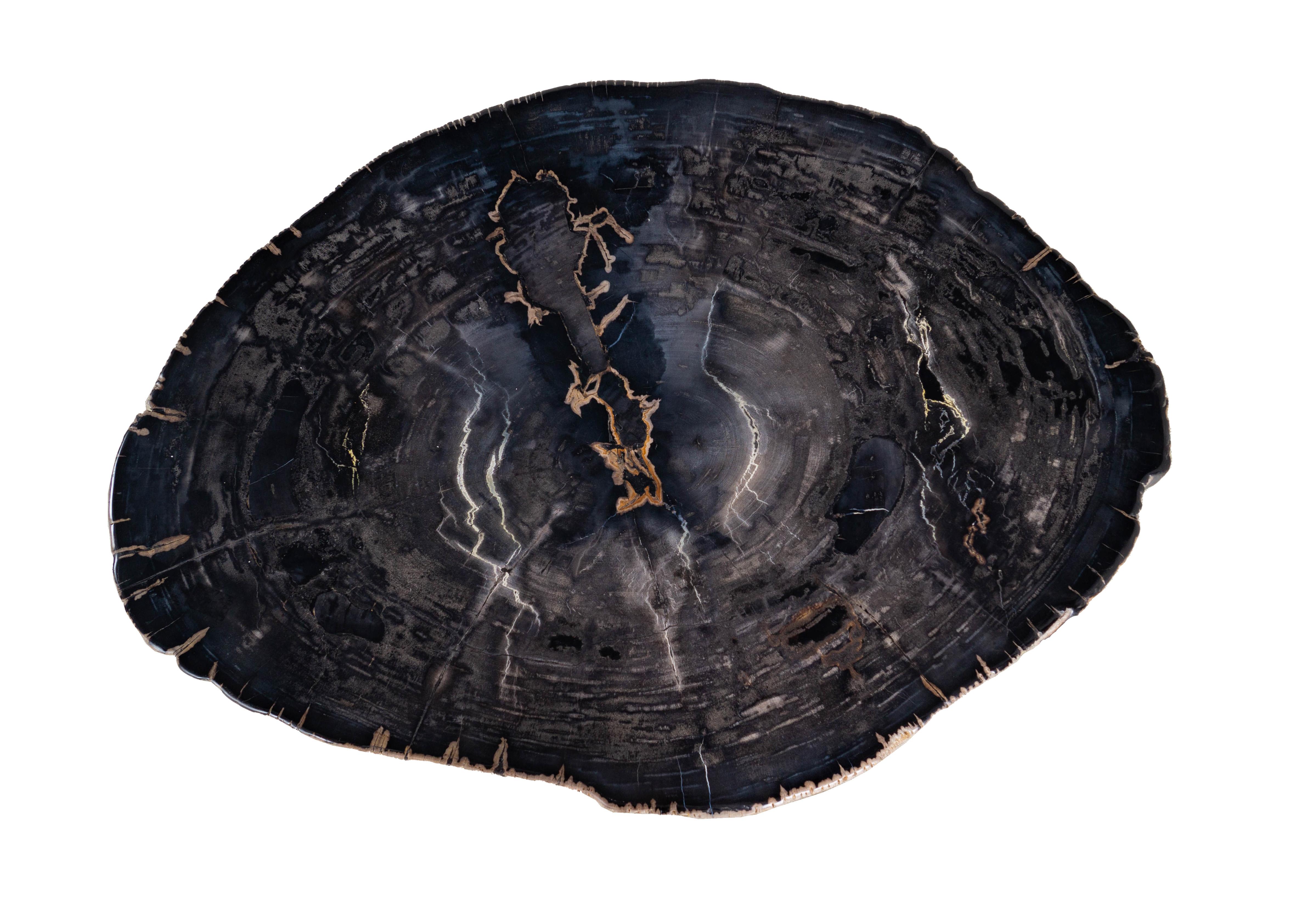 20th Century Organic Modern Petrified Wood Coffee Table